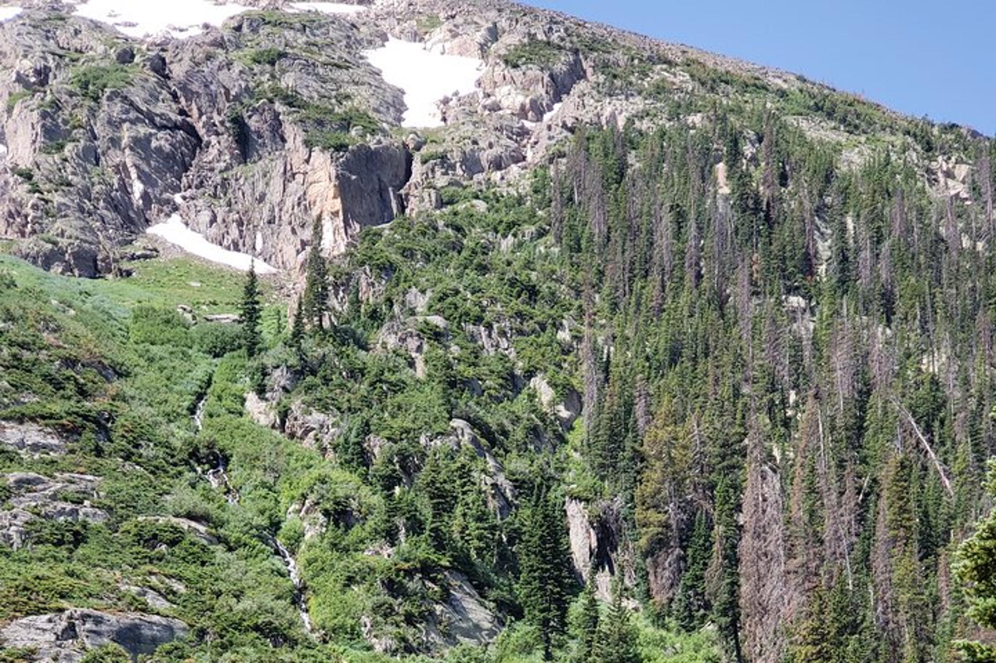 Estes Park Custom Tour of Rocky Mountain National Park 3 hr - Image 5