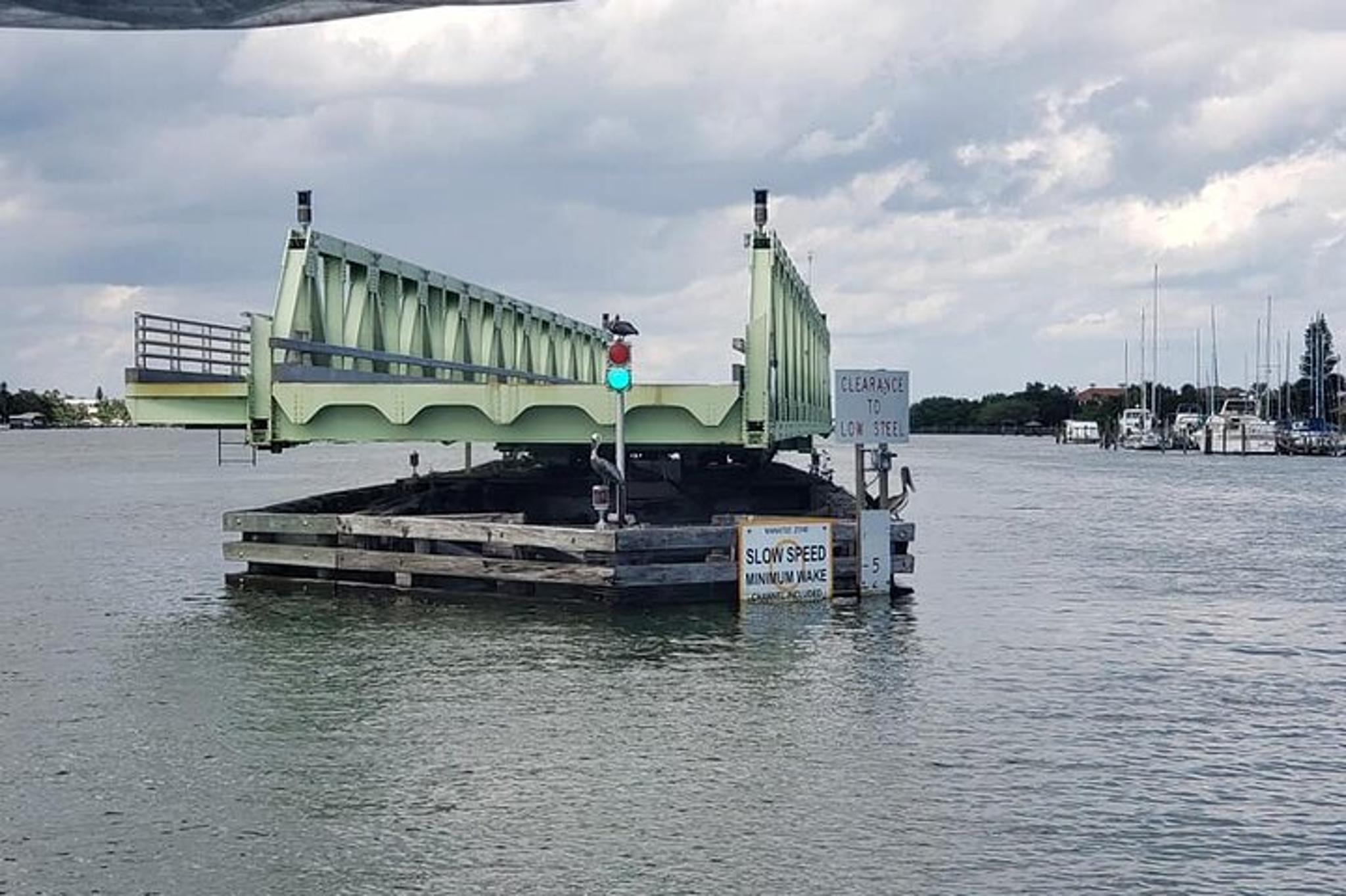 Melbourne Dolphin Tour - Image 4