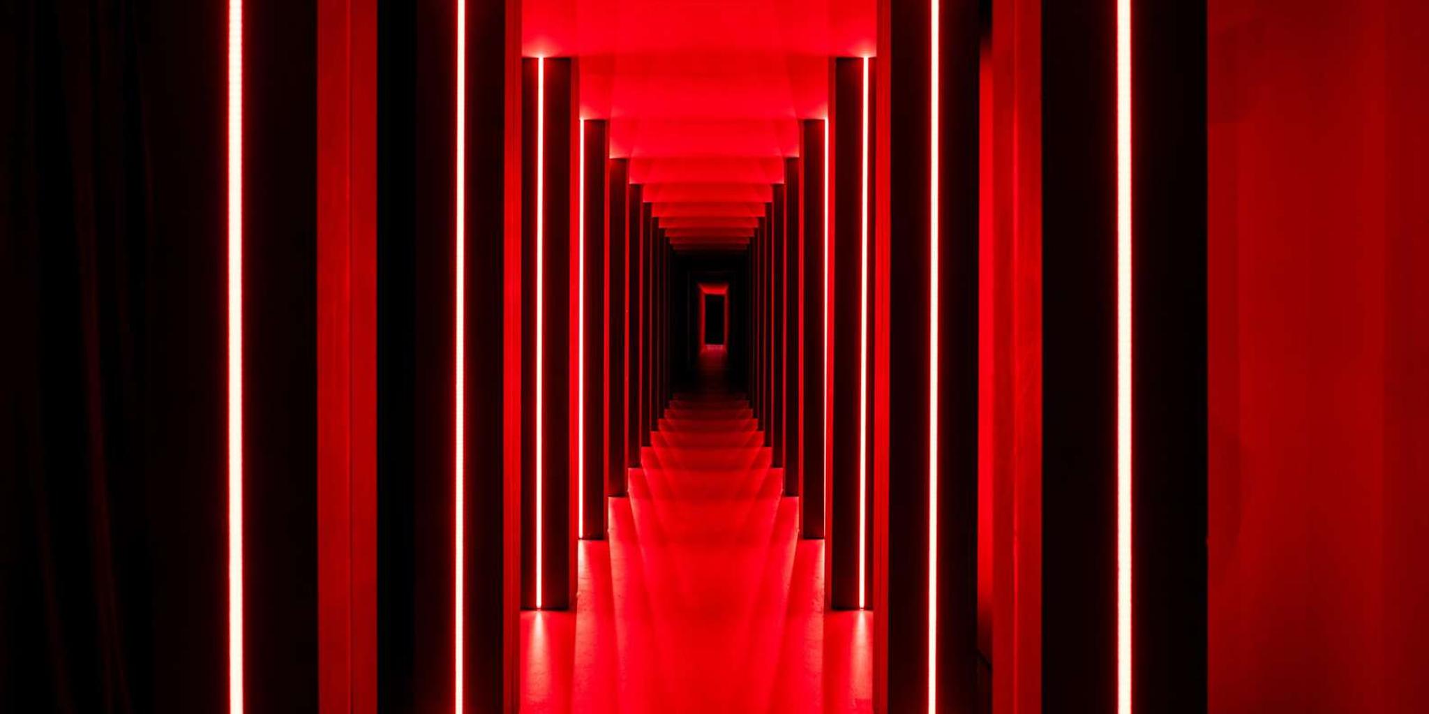 New York Immersive Art Experience 1 hr - Image 6