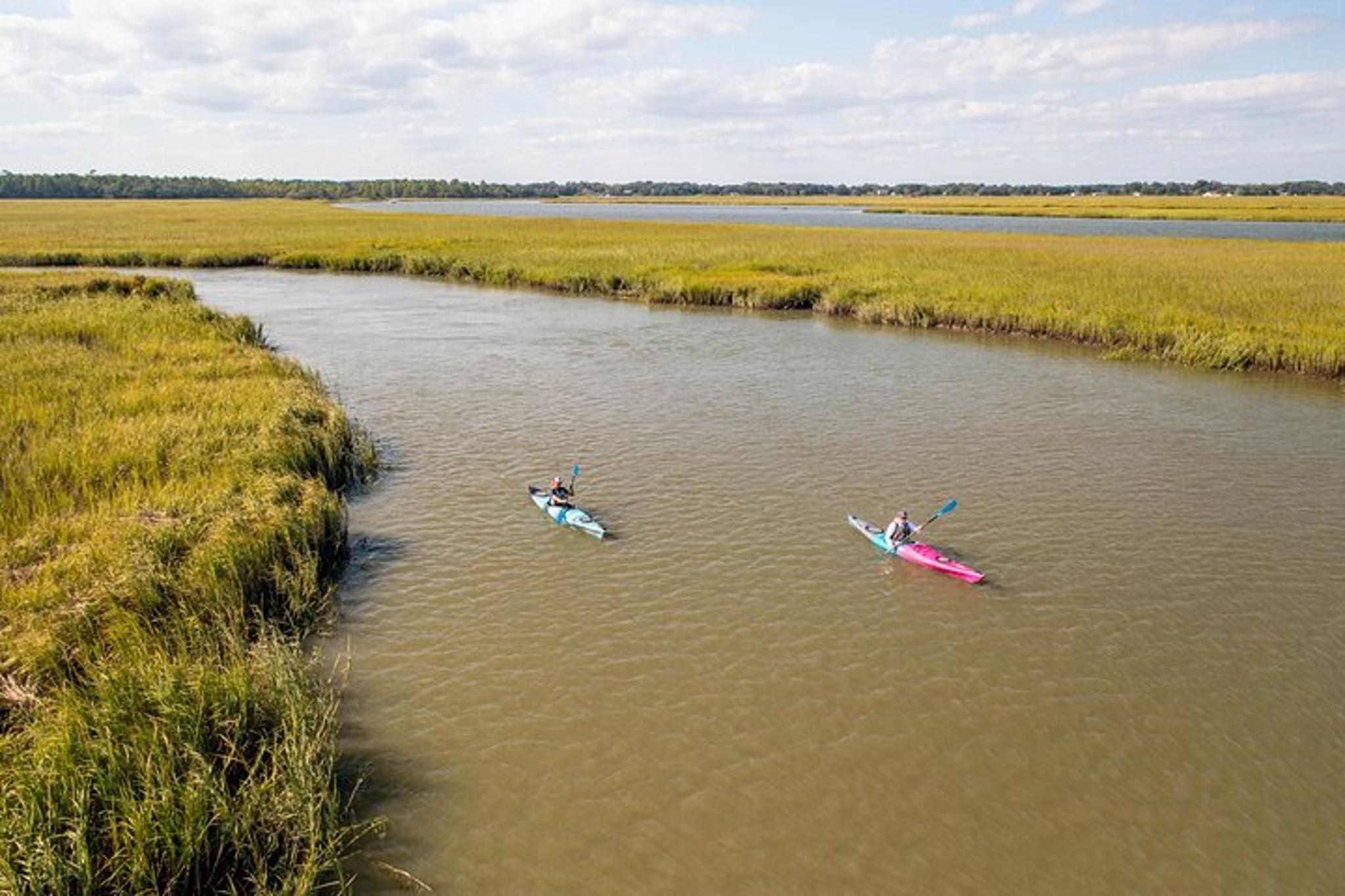 Folly Beach Dolphin Kayak Tour - Image 5