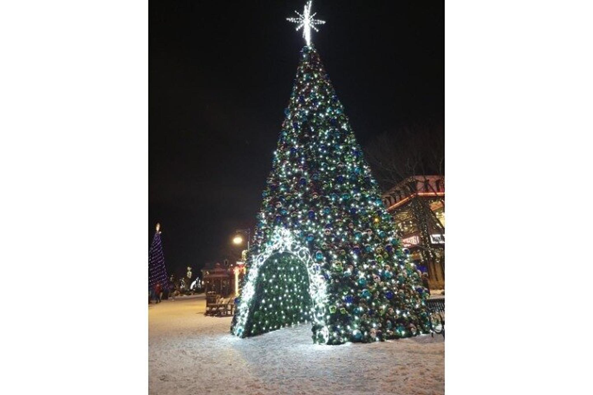 Pigeon Forge Scenic Evening Jeep Tour - Image 4