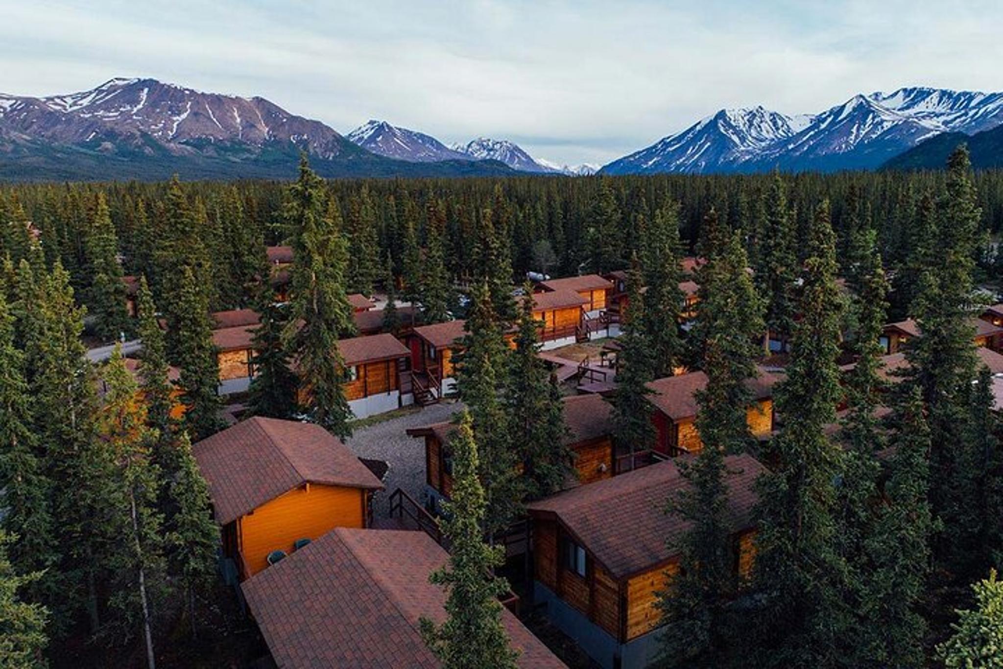 Denali Shuttle Service - Image 4