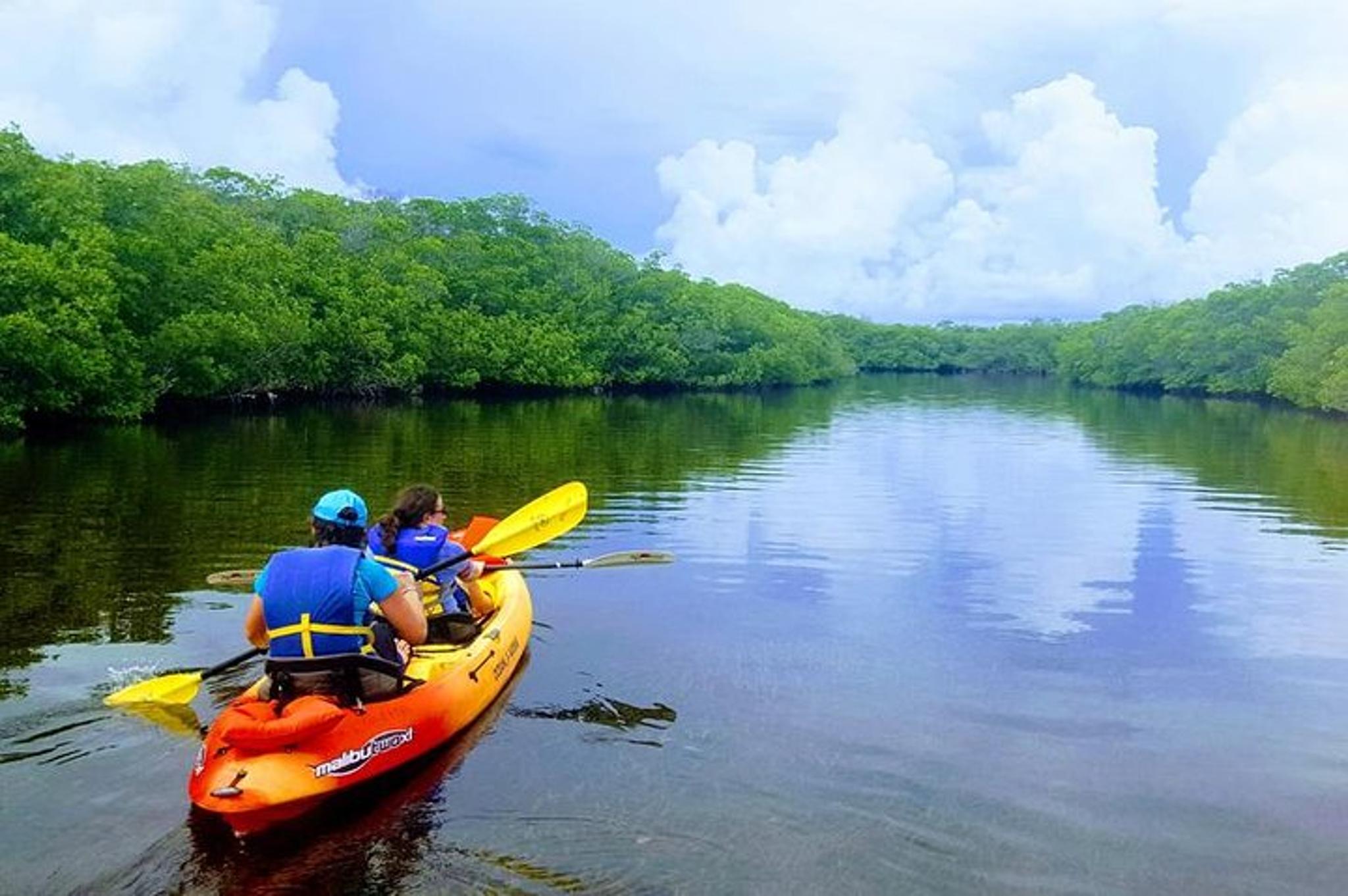 Key Largo Mangrove SUP/Kayak Rental - Image 2