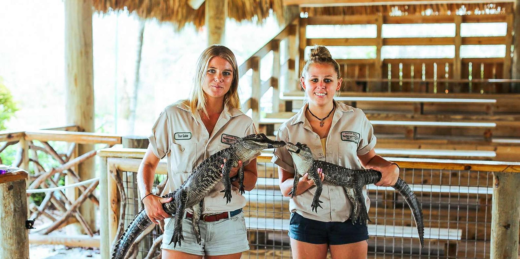 Miami Everglades Airboat Tour & Wildlife Show - Image 2