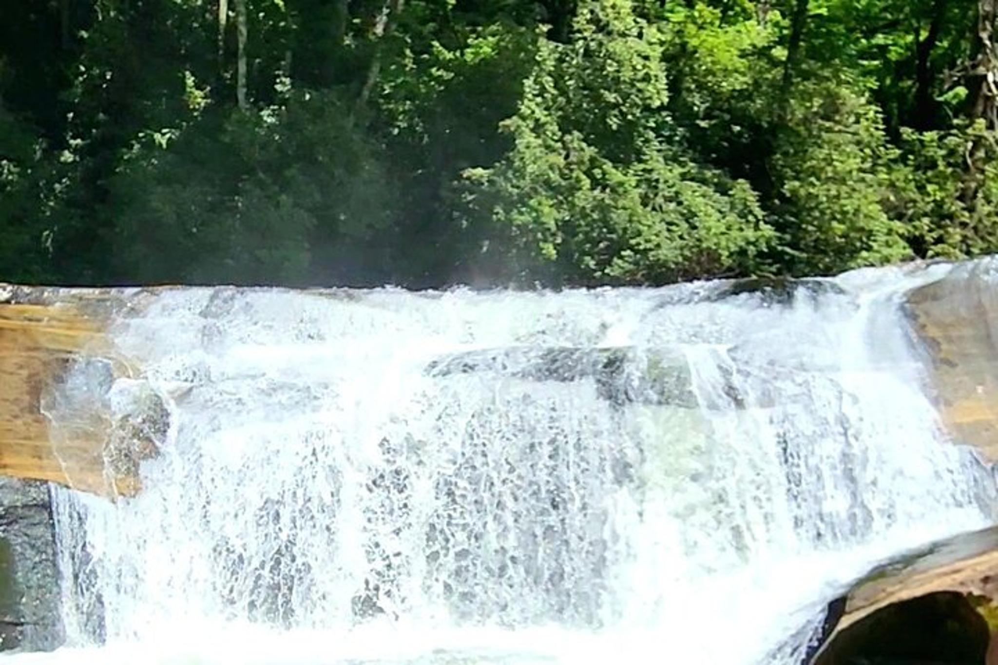Asheville Hiking Tour in Blue Ridge Mountains - Image 5