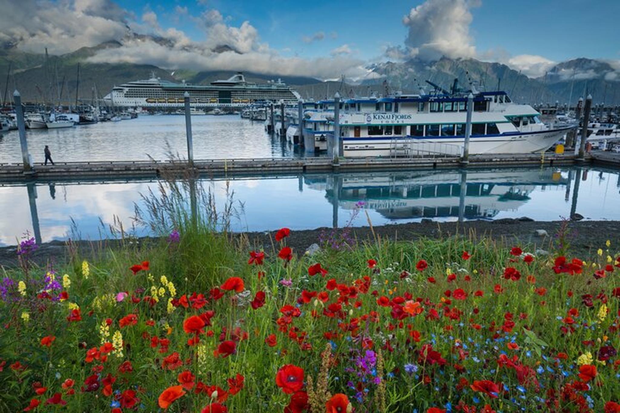 Seward to Anchorage Scenic Photo Tour - Image 3