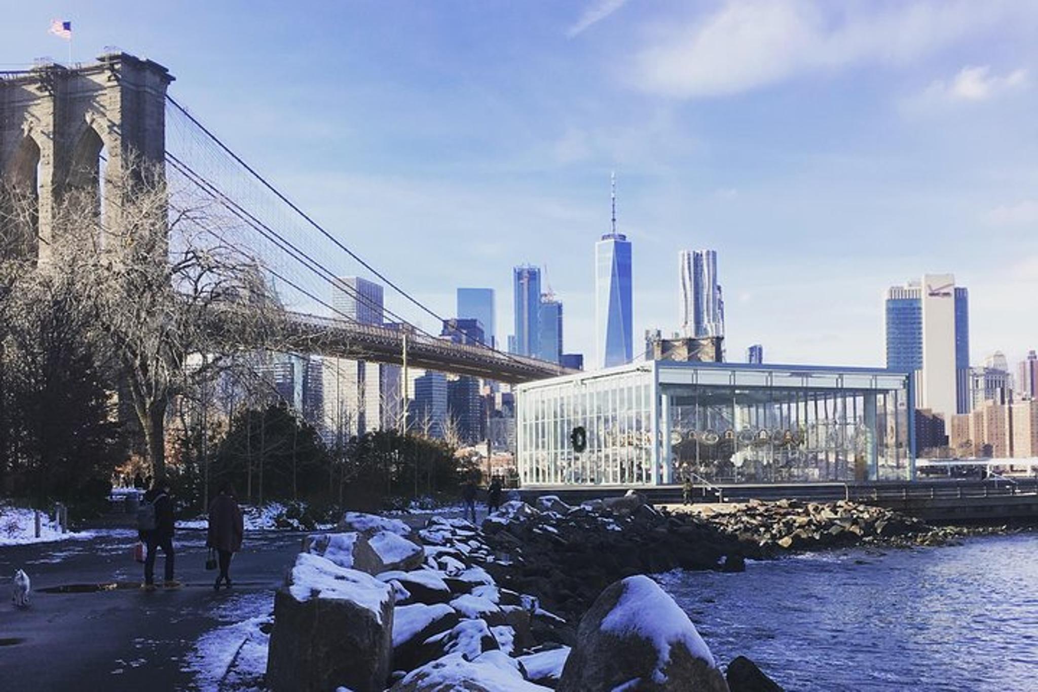 New York City Walking Tour: Brooklyn Bridge and DUMBO - Image 4