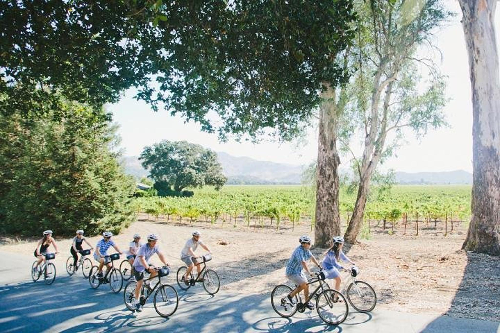Napa Winery E-Bike Tour with Picnic Lunch - Image 3