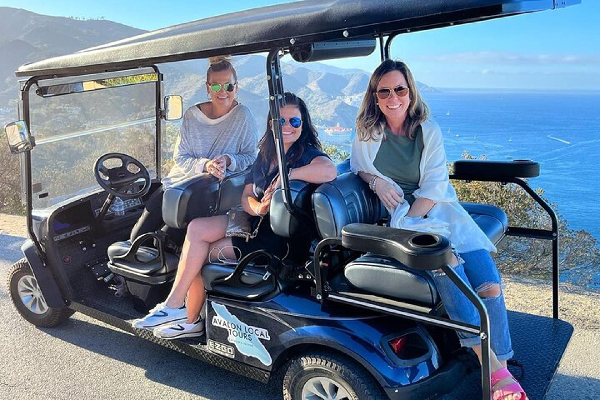 Avalon Private Tour by Golf Cart 2 hr - Image 3