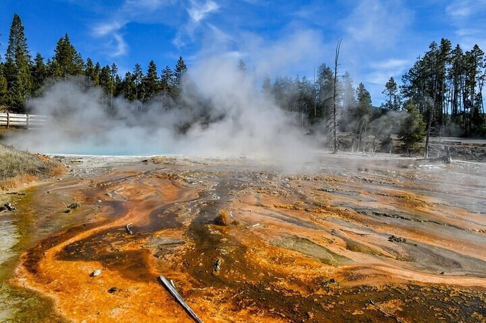 Yellowstone & Grand Teton National Parks Small Group Tour - Image 6