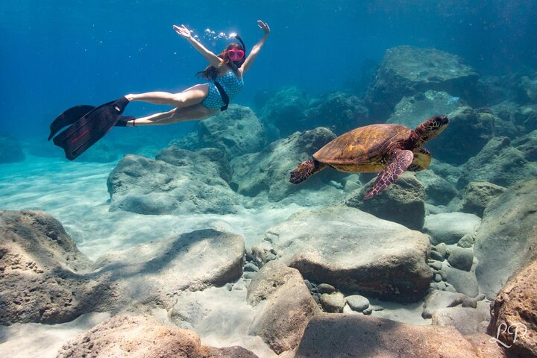 West Maui Snorkel Tour with Turtle Gardens