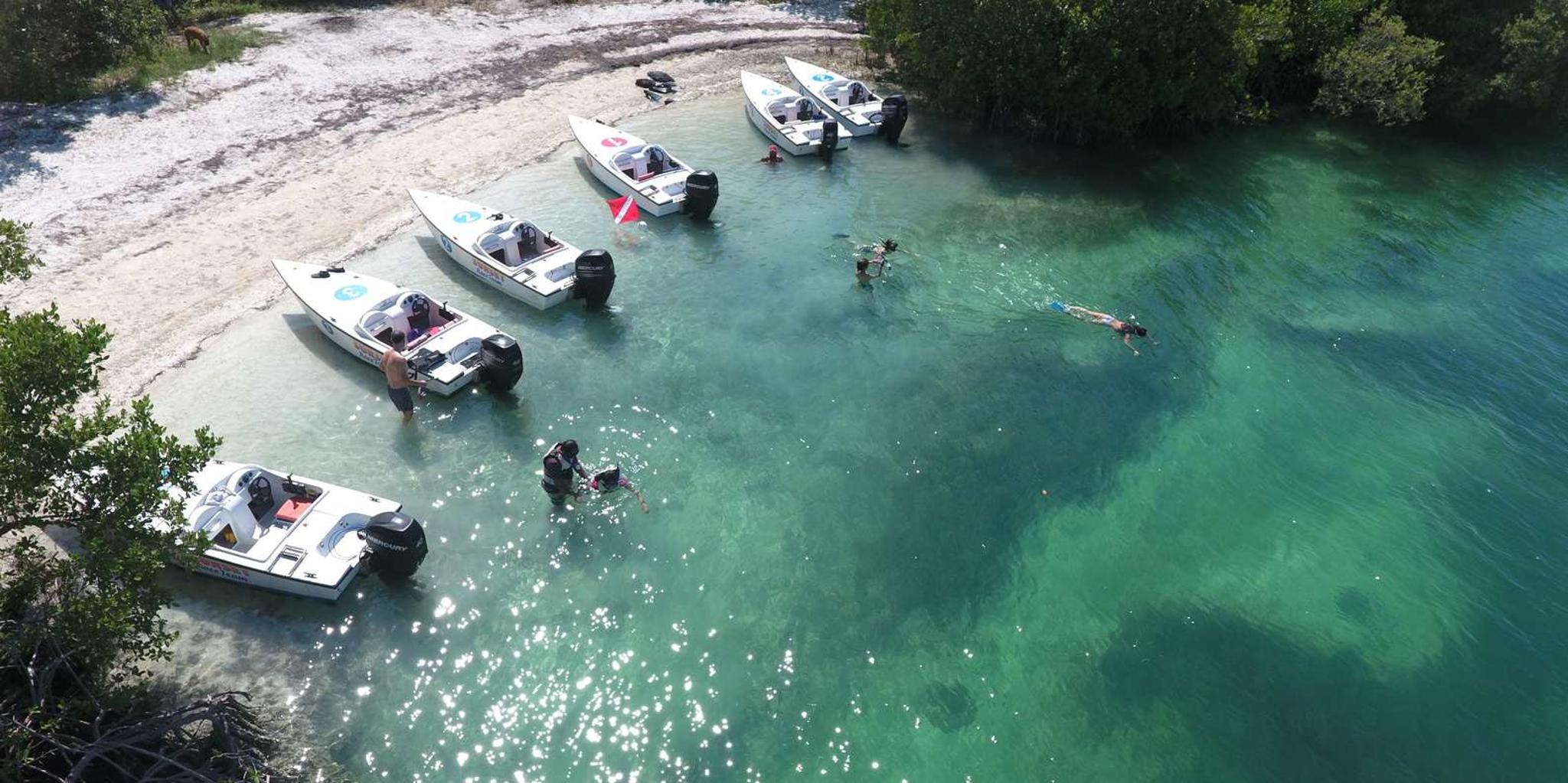 Key West Eco Safari Sandbar Tour with Snorkeling - Image 4