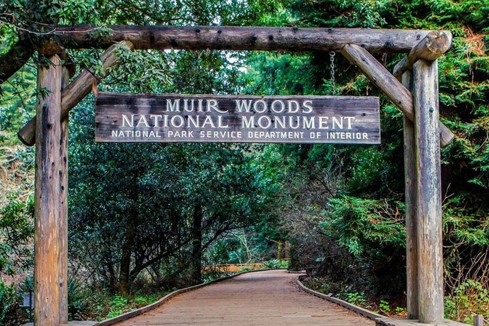 Muir Woods Walking Tour