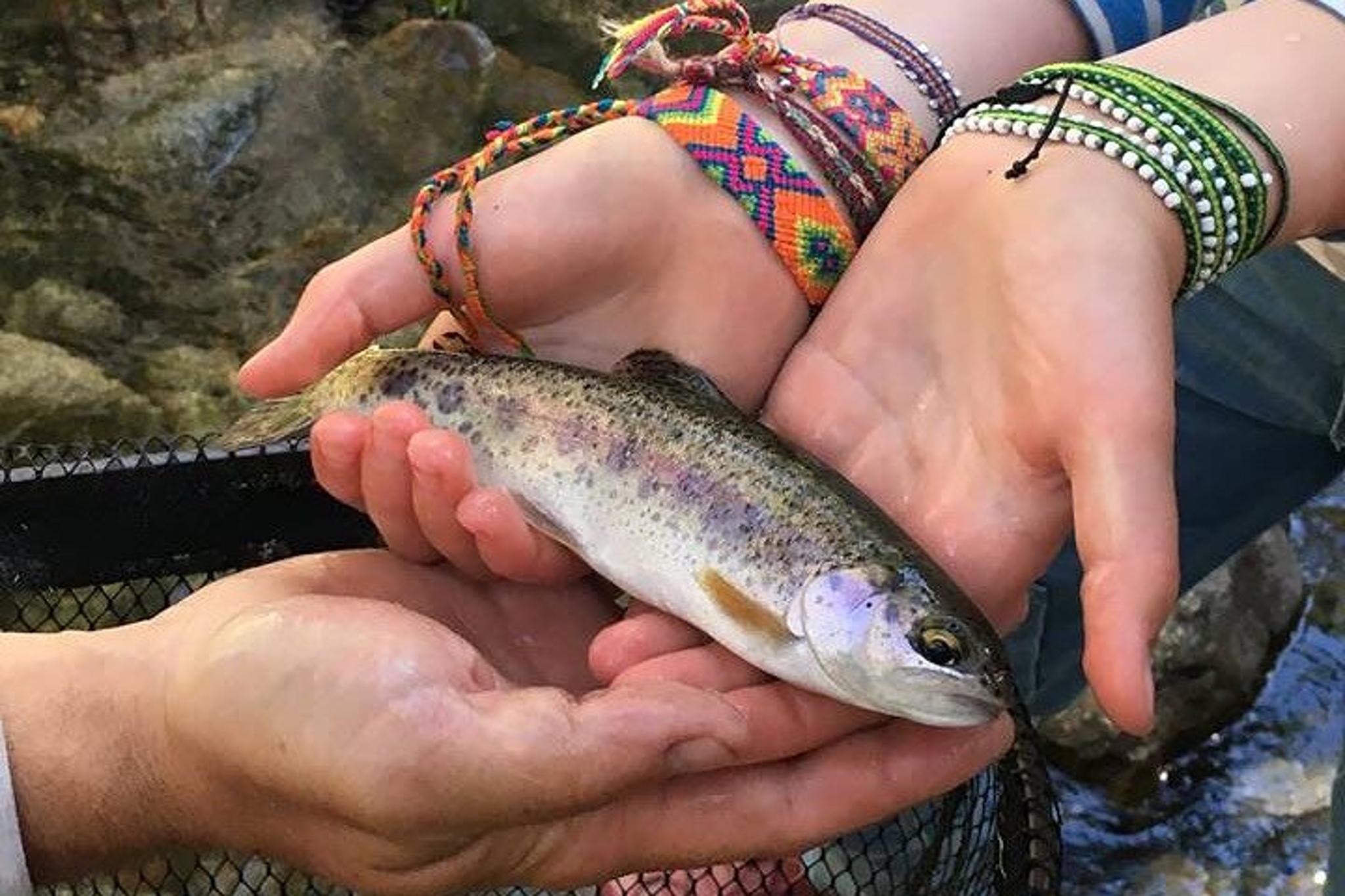 Yosemite Fly Fishing Adventure 4 hr