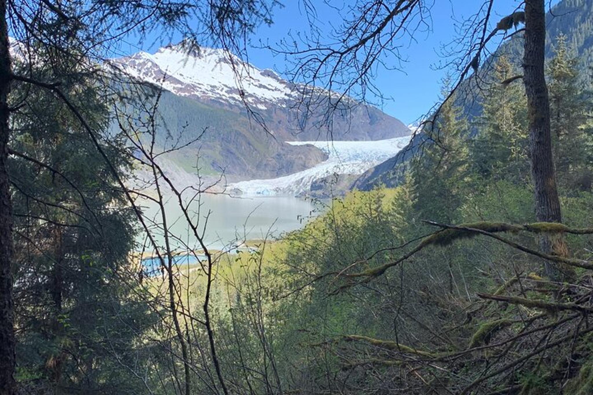 Juneau Rainforest & Waterfalls Trek - Image 5