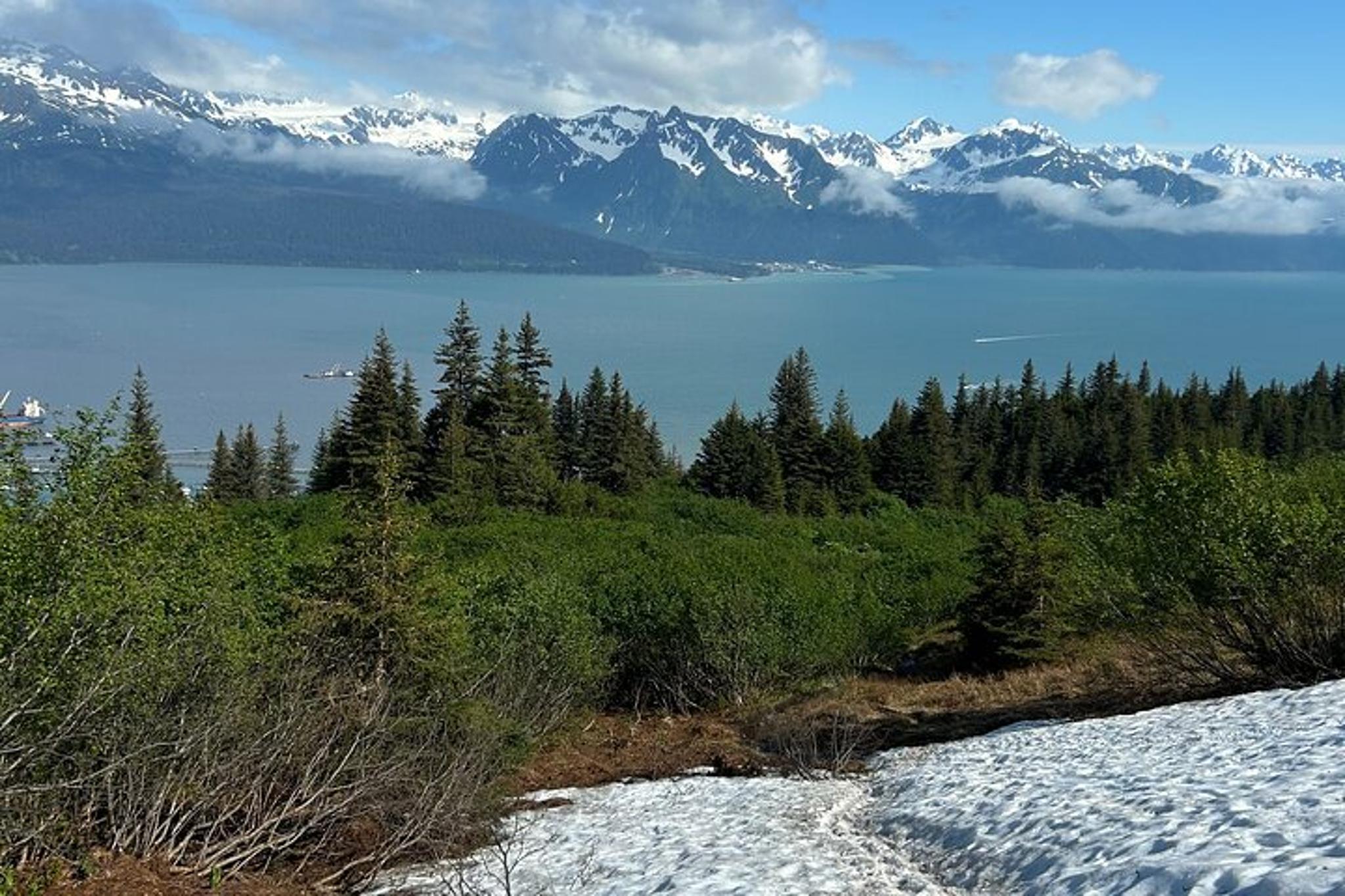Seward Hiking Tour of Mount Marathon - Image 4