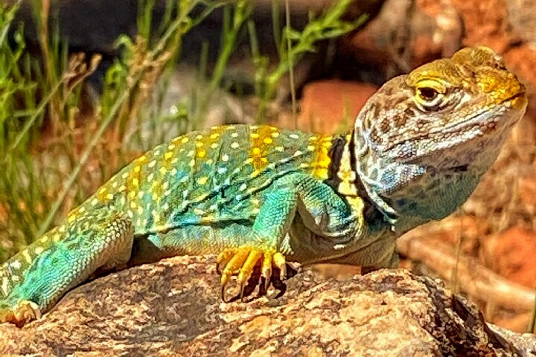 Sedona Cathedral Rock Hike With Private Guide - Image 3