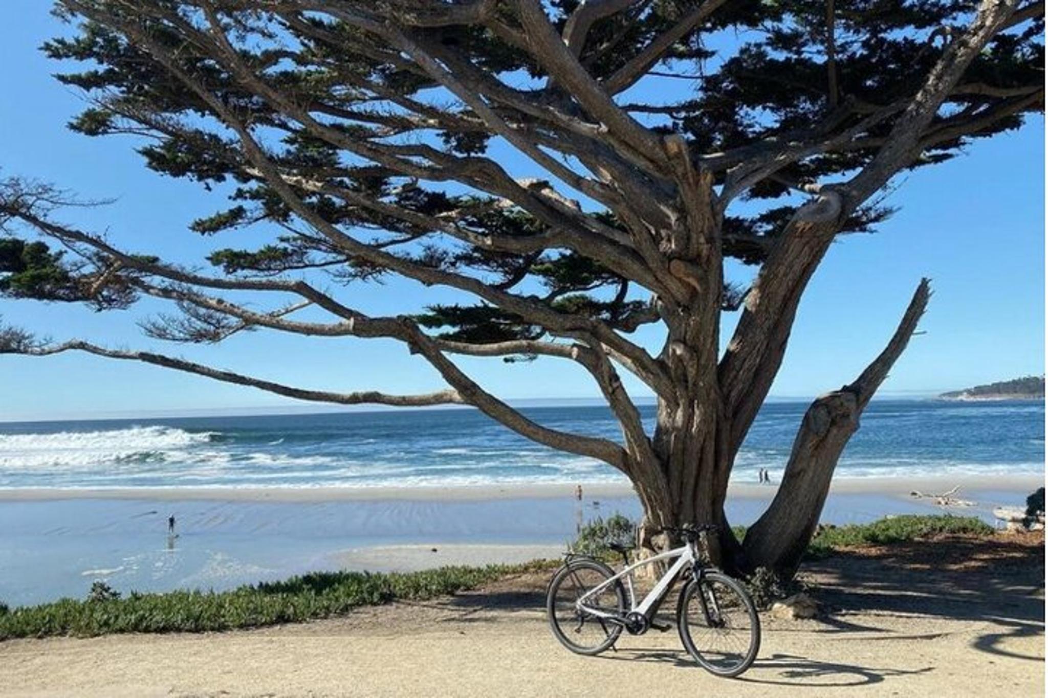 Carmel-By-The-Sea Electric Bike Tour - Image 4