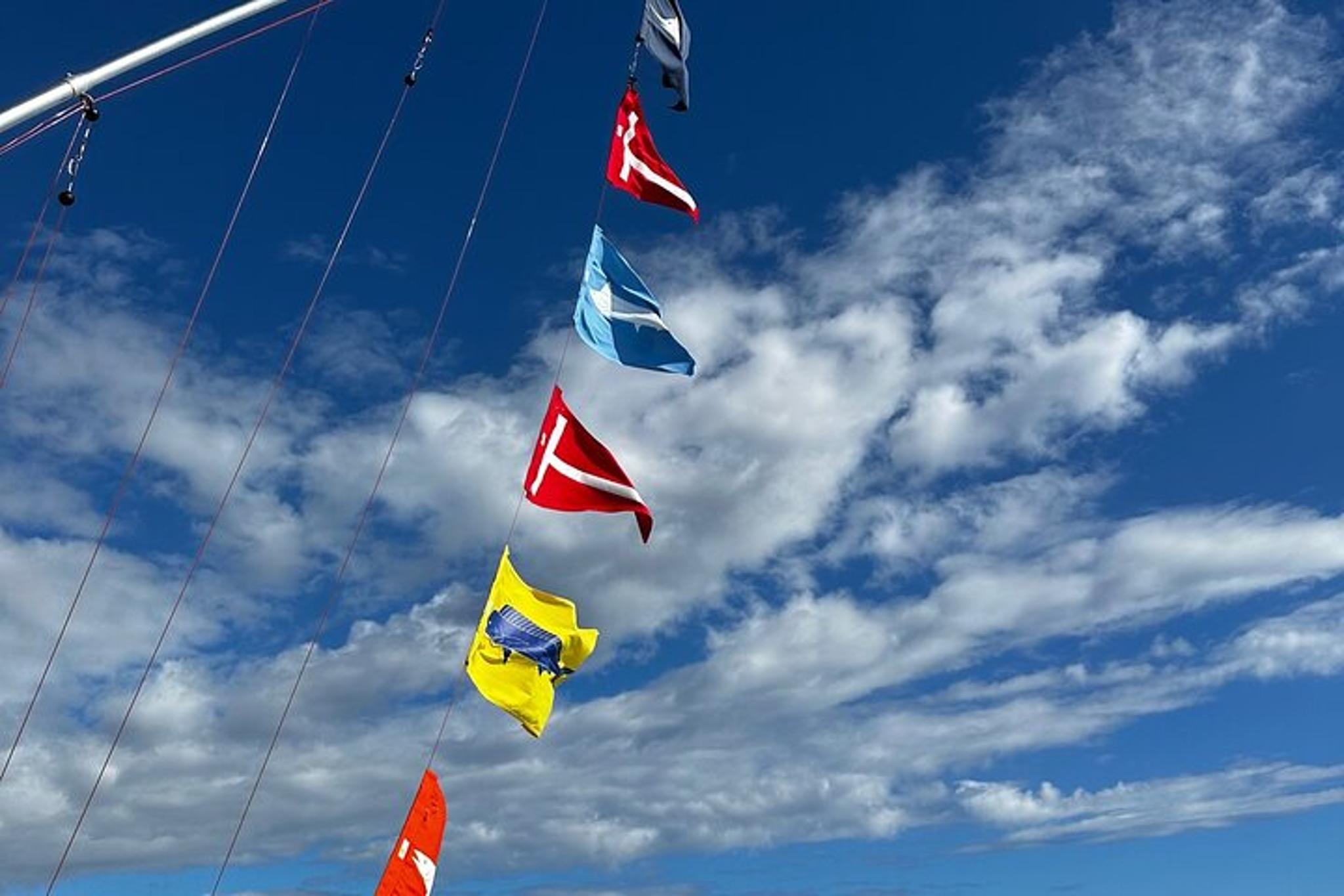 Kona Deep Sea Fishing Experience - Image 6