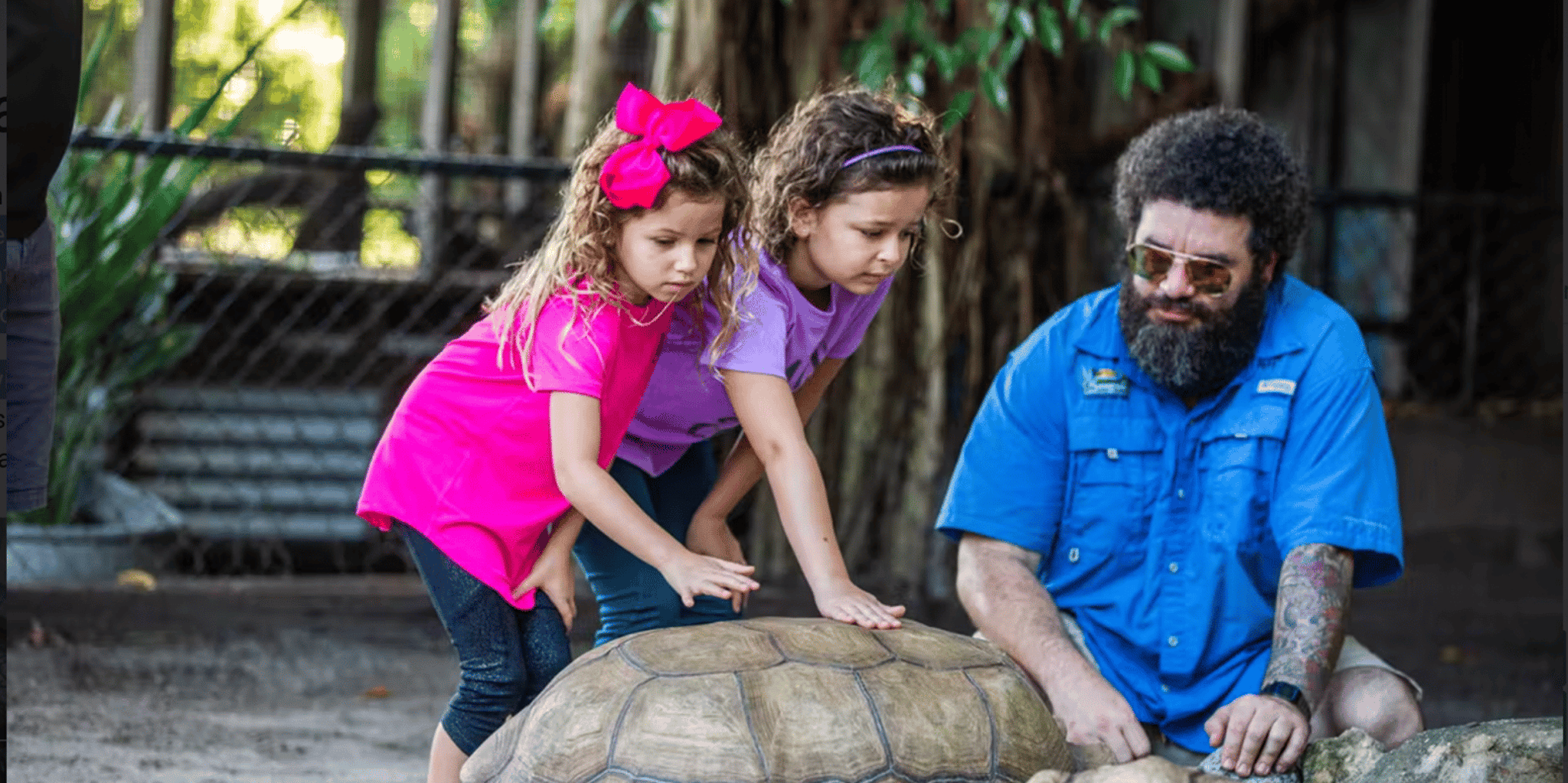 Florida Everglades Airboat and Reptile Exhibit Tour - Image 6