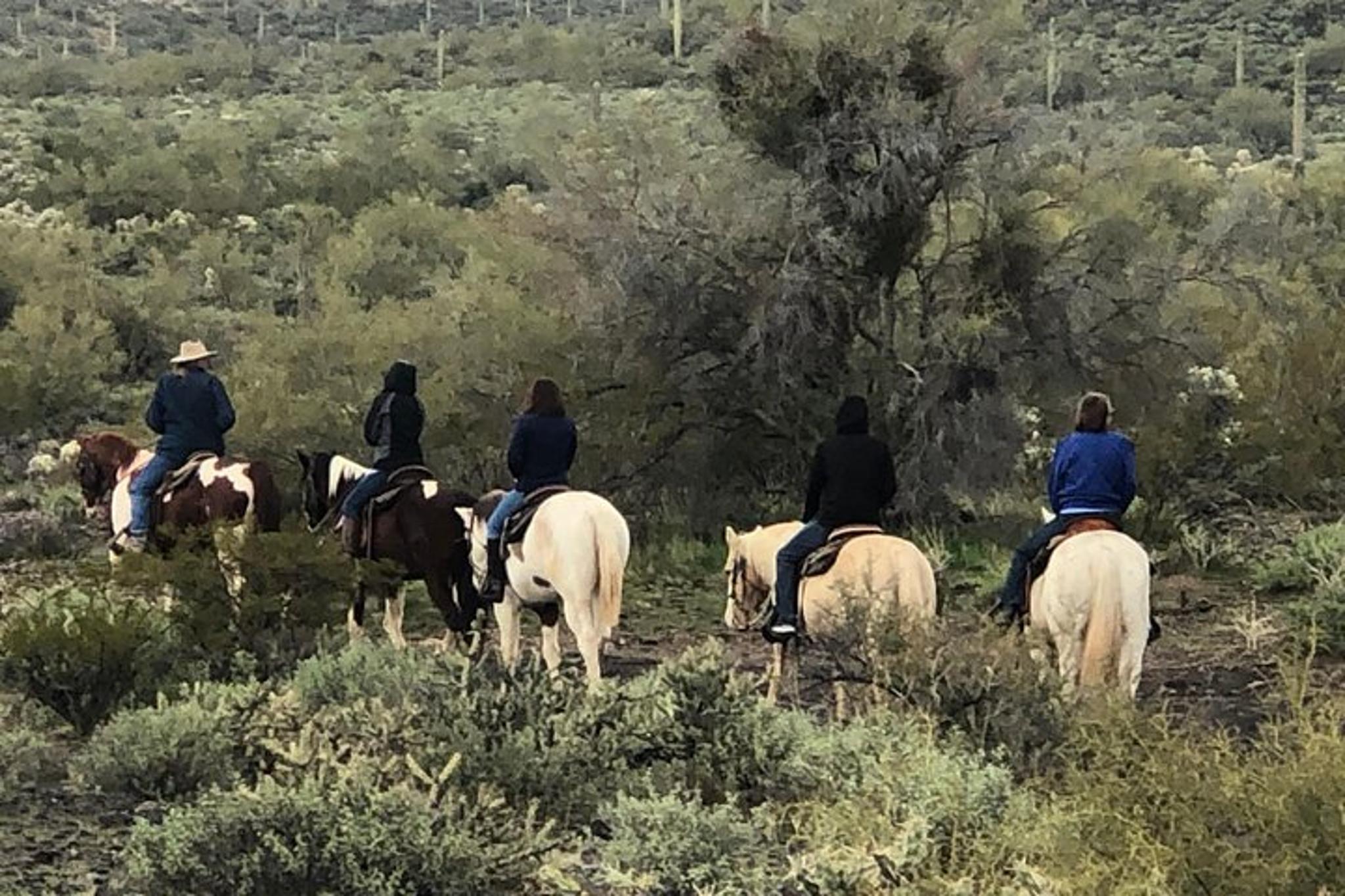 Arizona Horseback Trail Ride