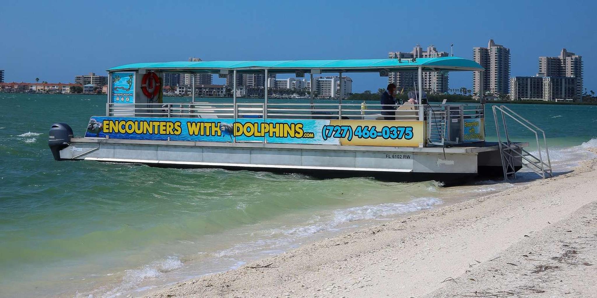 Clearwater Dolphin Cruise and Island Adventure - Image 3