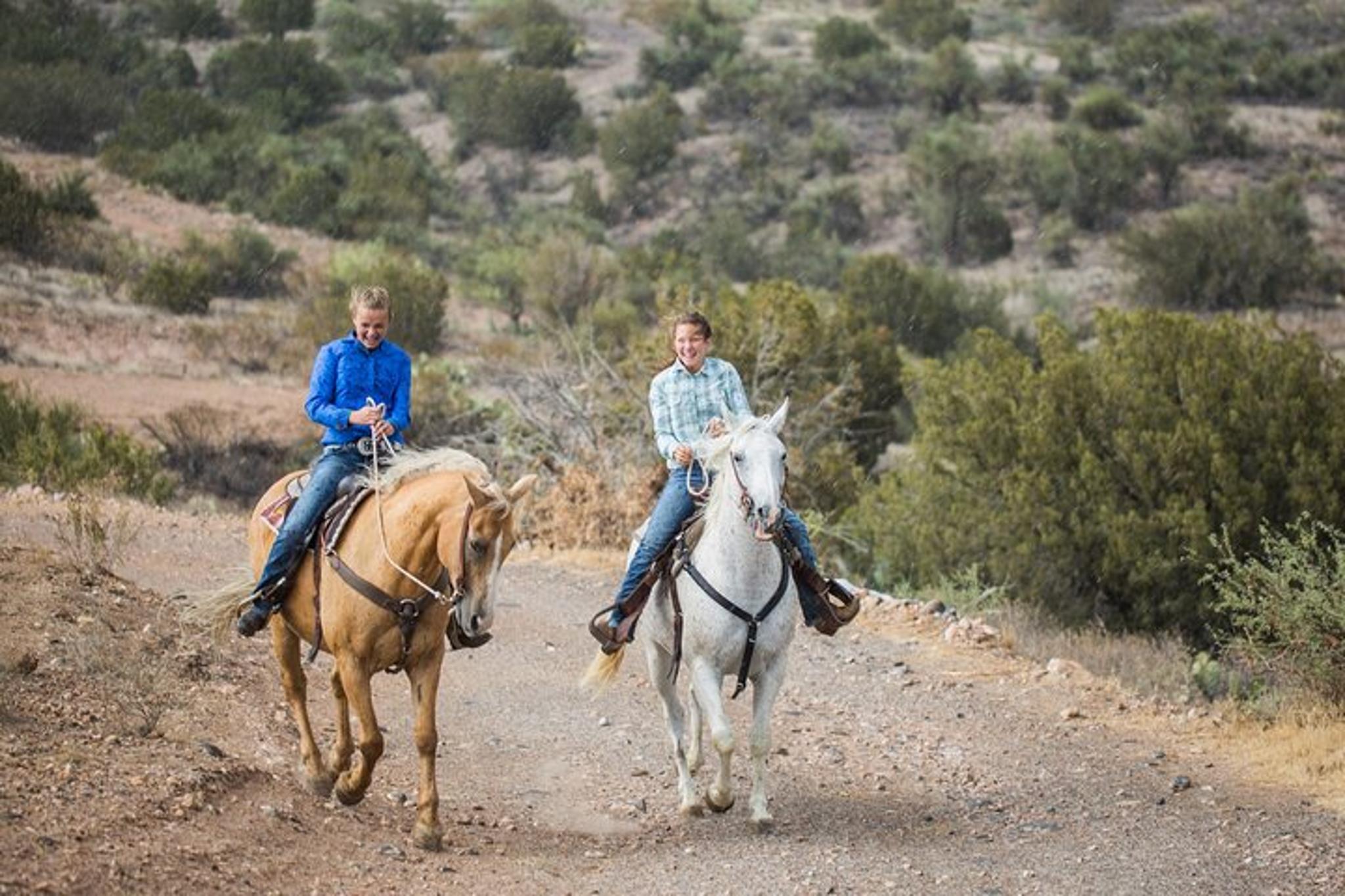 Grand Canyon Horseback Ride and South Rim Bus Tour - Image 6
