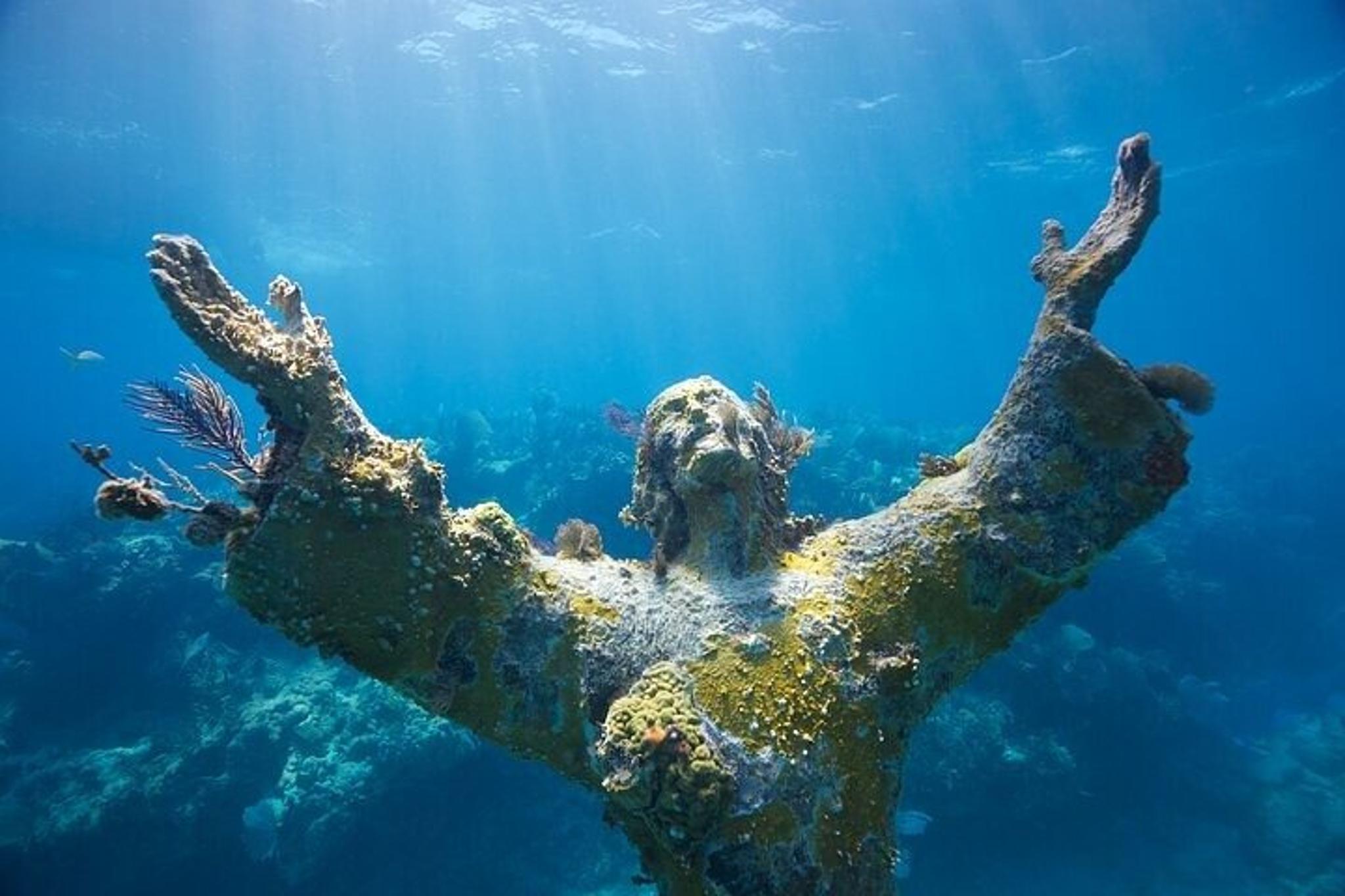 Key Largo Reef Snorkel Tour - Image 3
