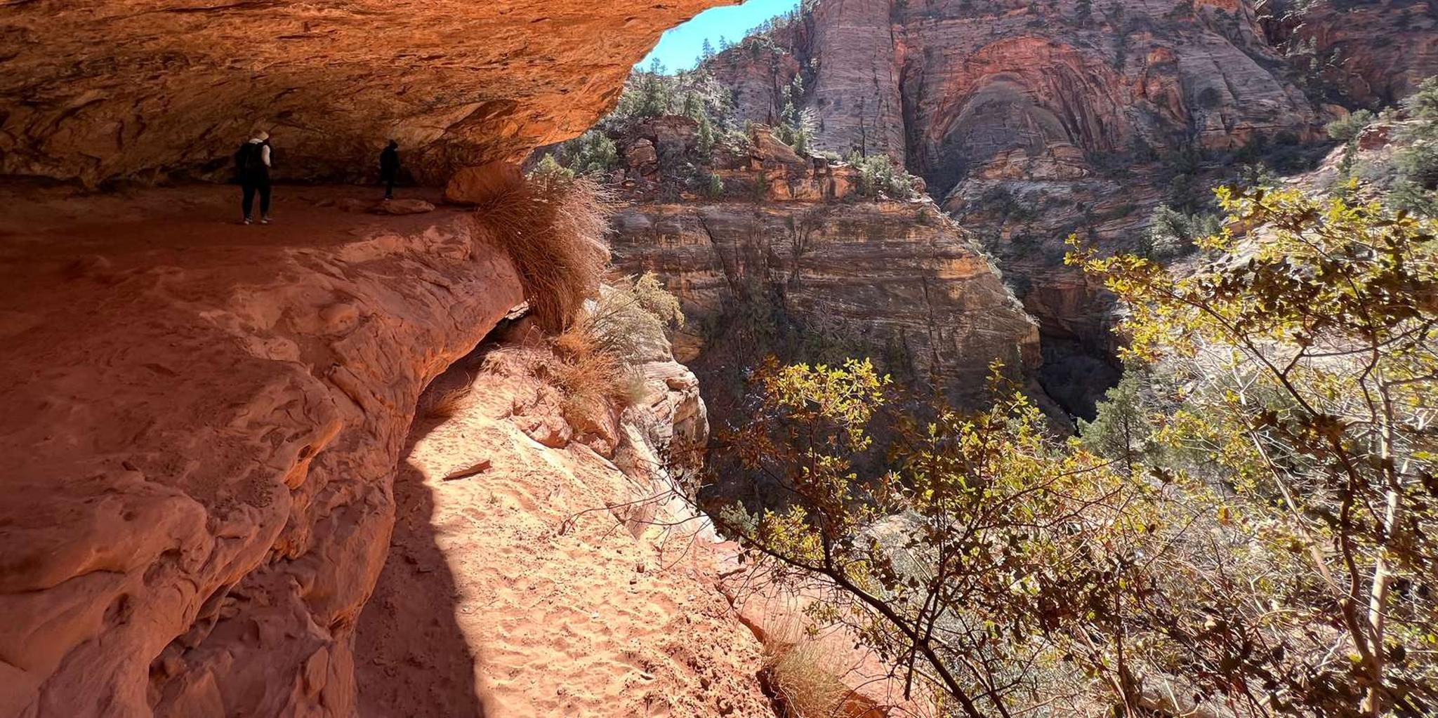 Zion National Park Photography and Walking Tour - Image 6