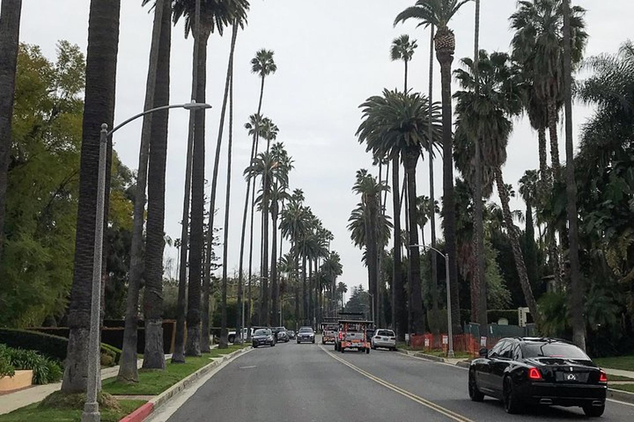 Los Angeles Hollywood Private Tour 4 hr