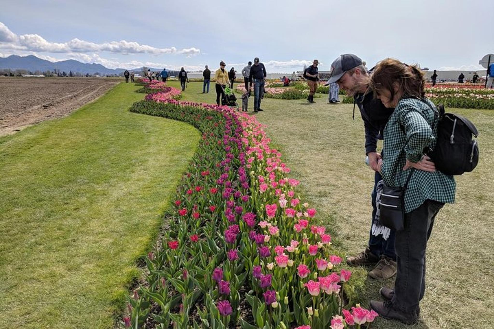 Seattle Tulip Festival and Deception Pass Tour - Image 5