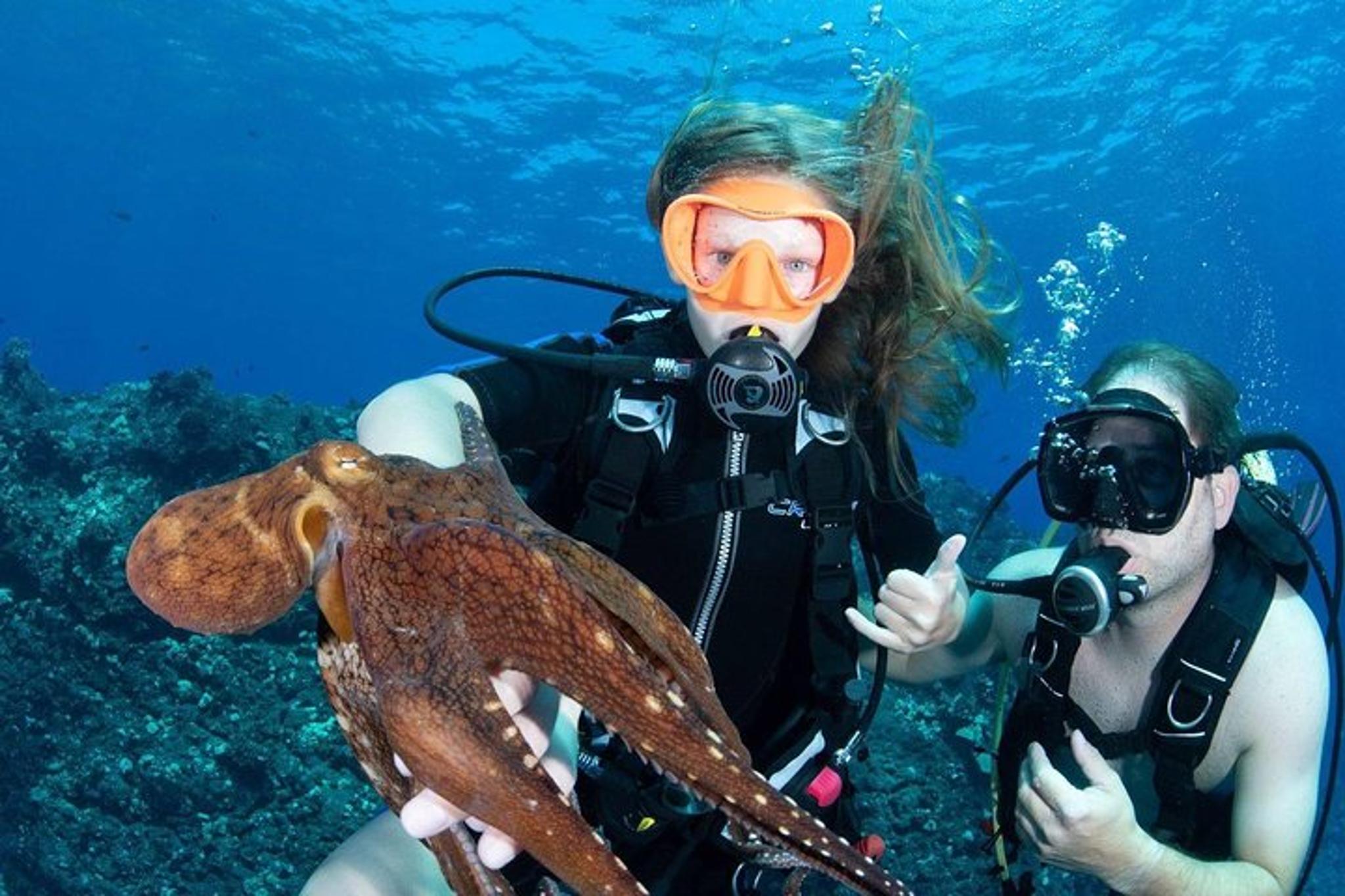Lahaina Snorkel and SCUBA Adventure - Image 3