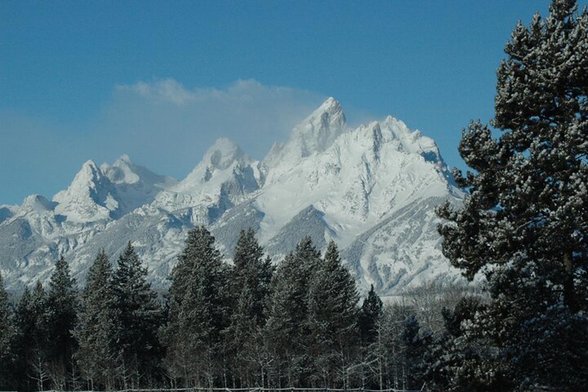 Grand Teton National Park Sunrise Tour - Image 4