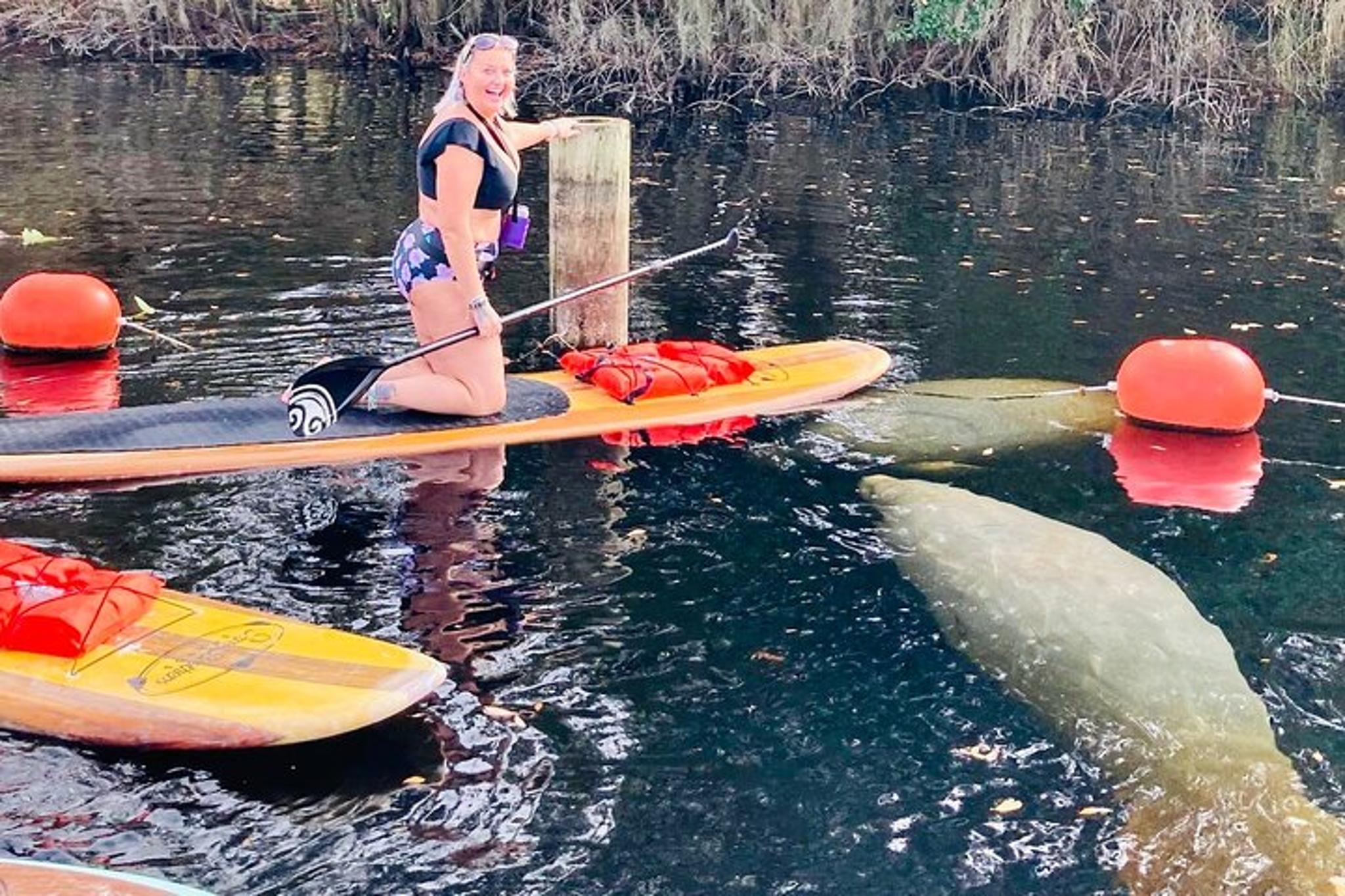 Orlando Manatee and Natural Spring Adventure - Image 5