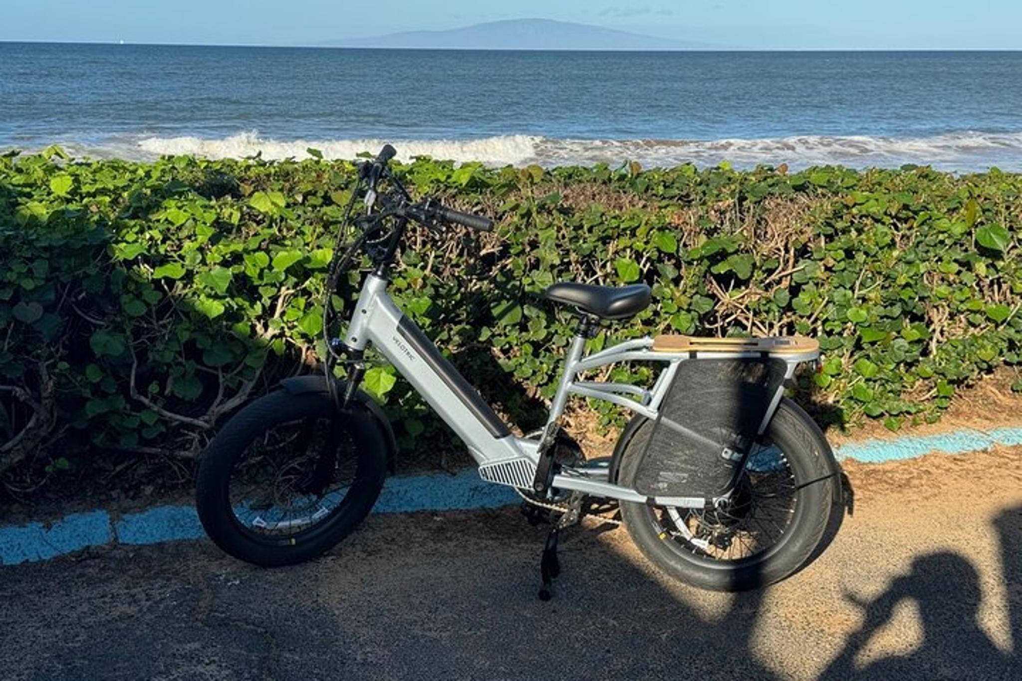 Maui Electric Bike or Scooter Tour