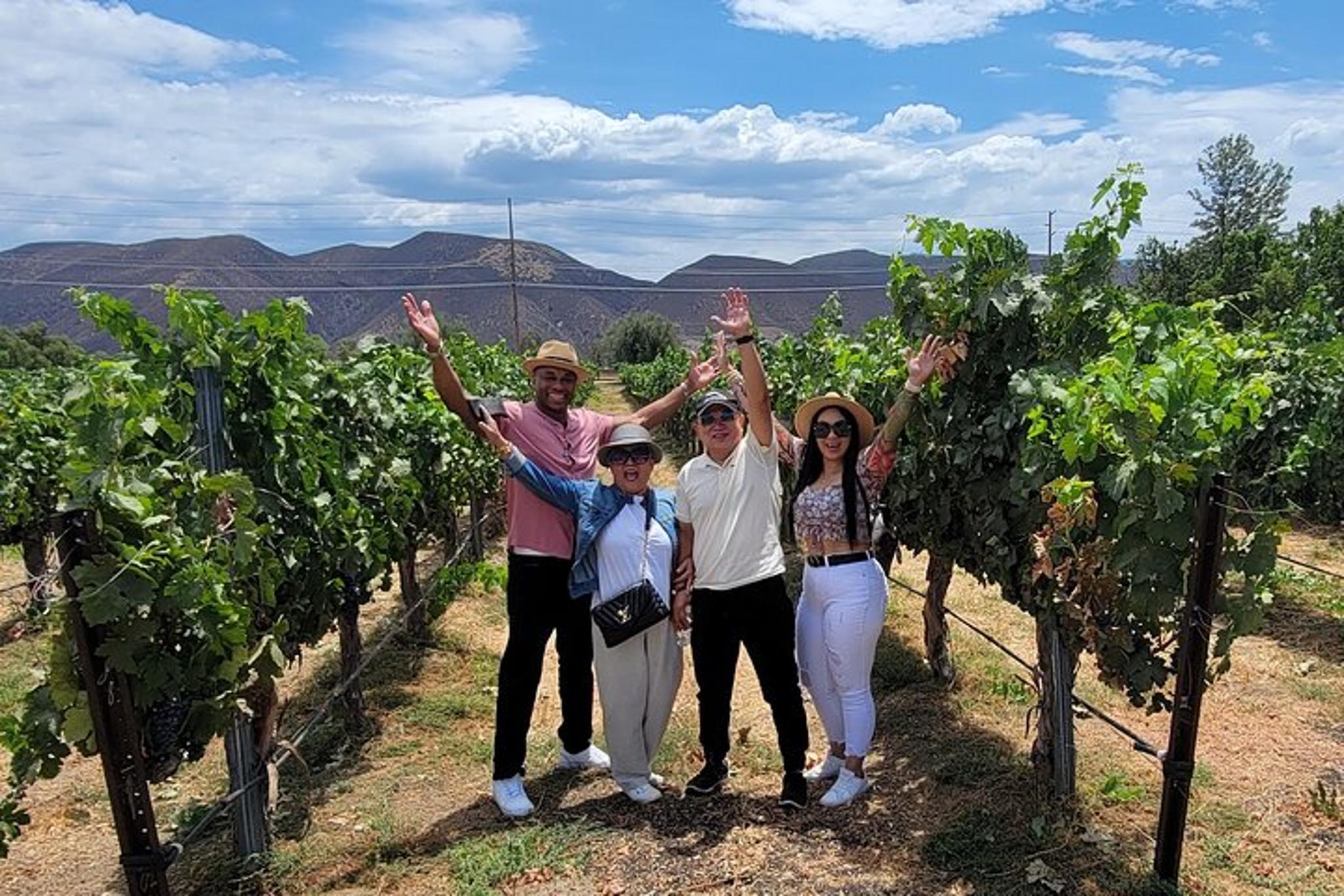 Temecula Wine Tour with Lunch - Image 5