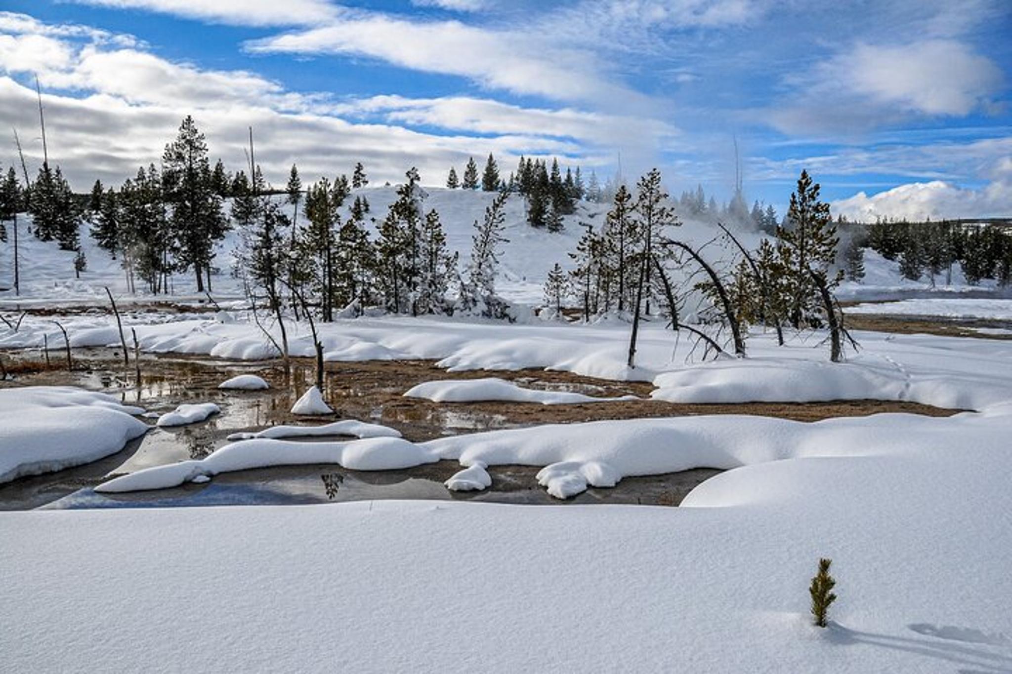 Yellowstone and Utah Mighty 5 Winter Tour 9-Day - Image 6