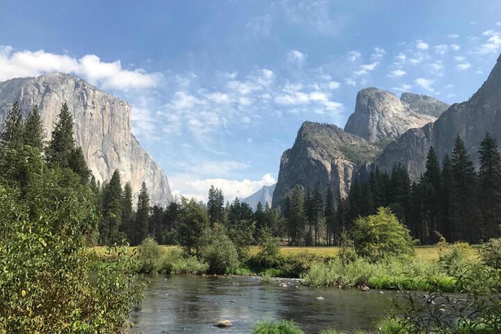 Yosemite Valley Tour & Cookout - Image 6