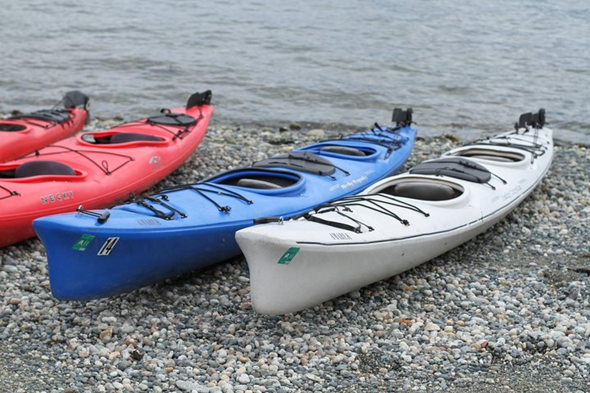 Skagway Sea Kayaking Adventure - Image 5