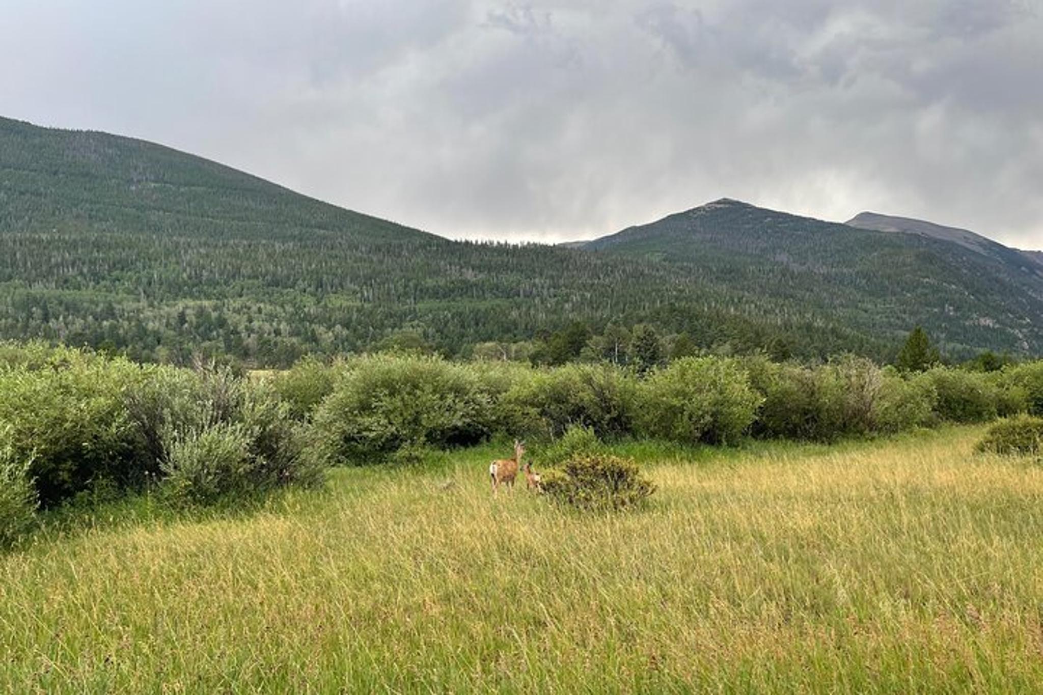 Denver Concert Venues Ride - Image 3