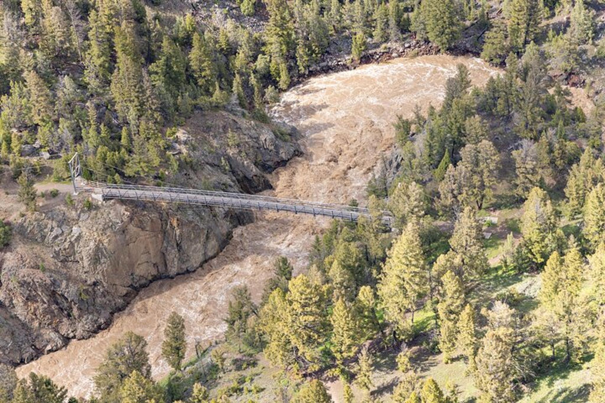 Yellowstone Naturalist Day Hike - Image 5