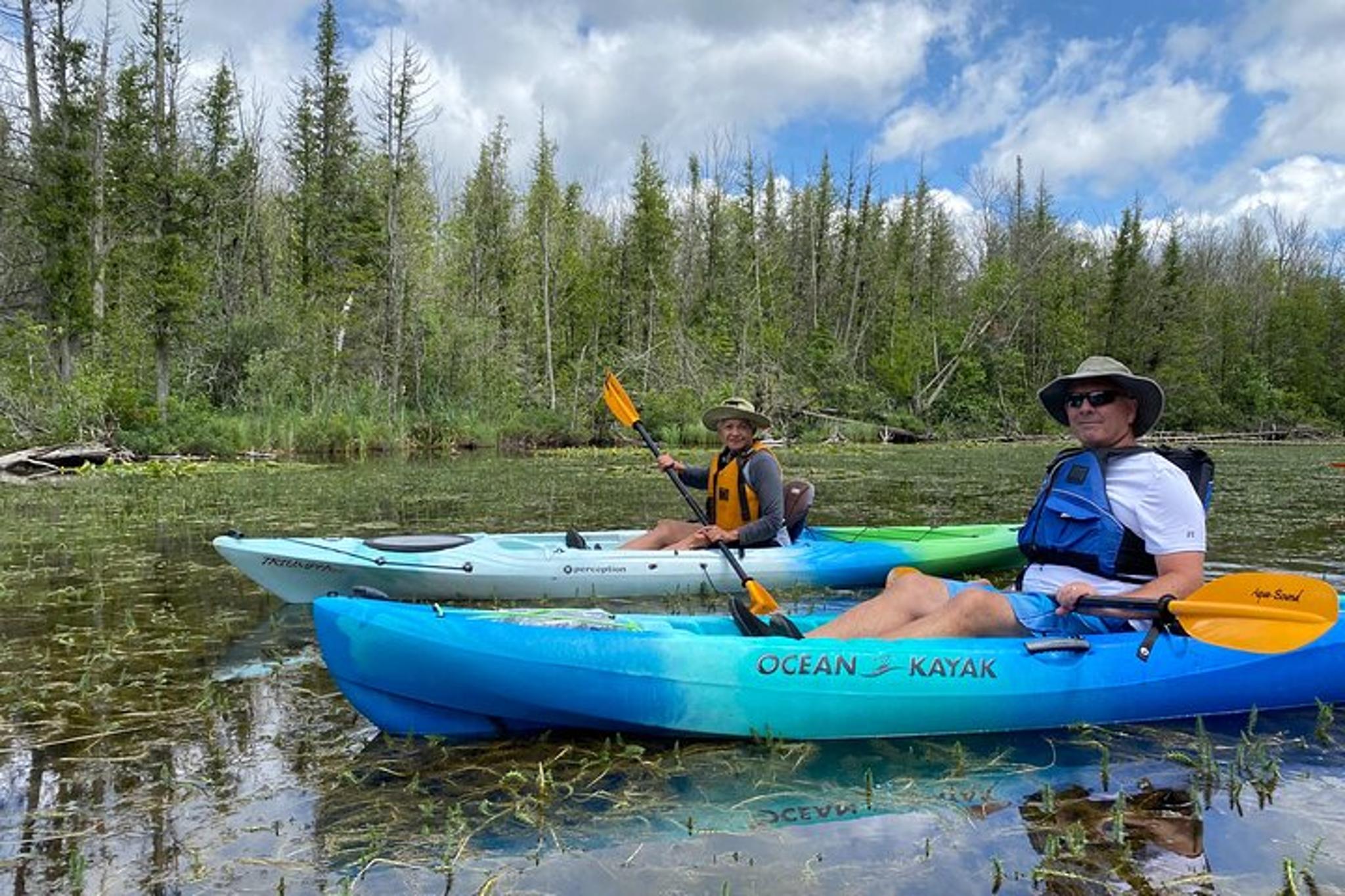 Jacksonport Wetlands Kayak Tour - Image 3