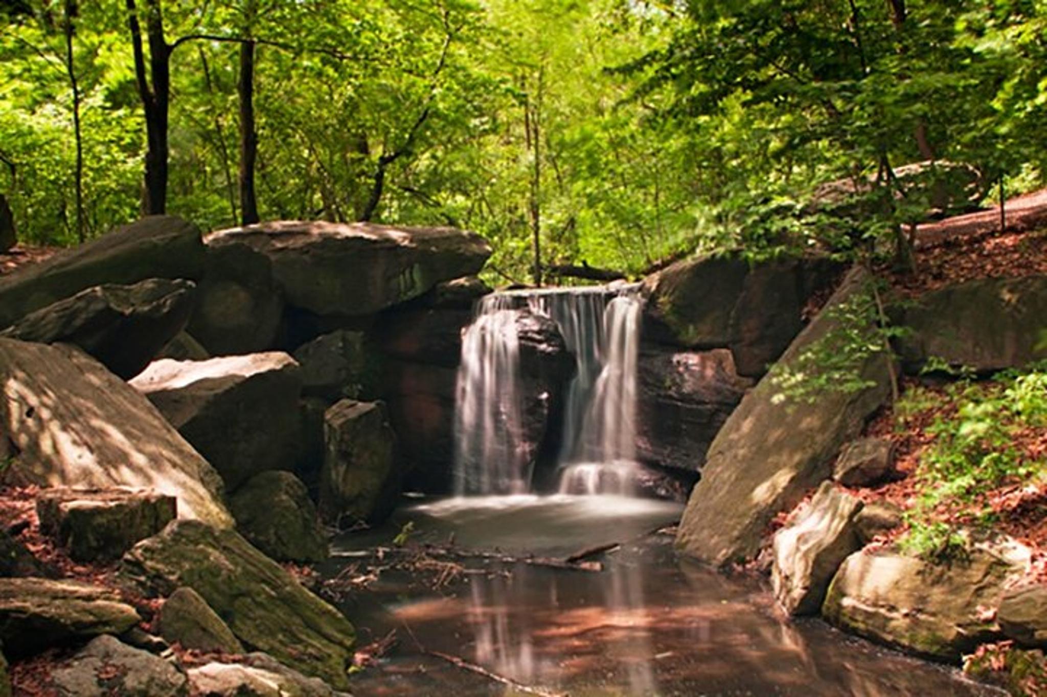 New York Central Park Running Tour - Image 3