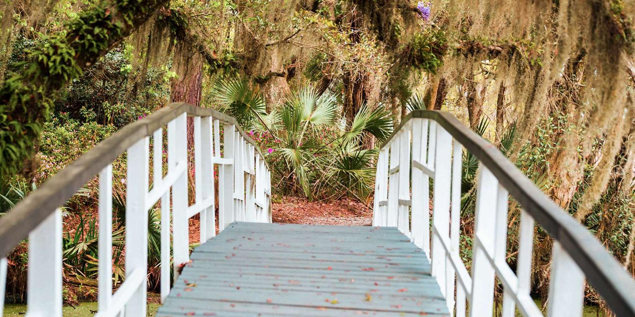 Charleston Magnolia Plantation Tour with Transport - Image 3