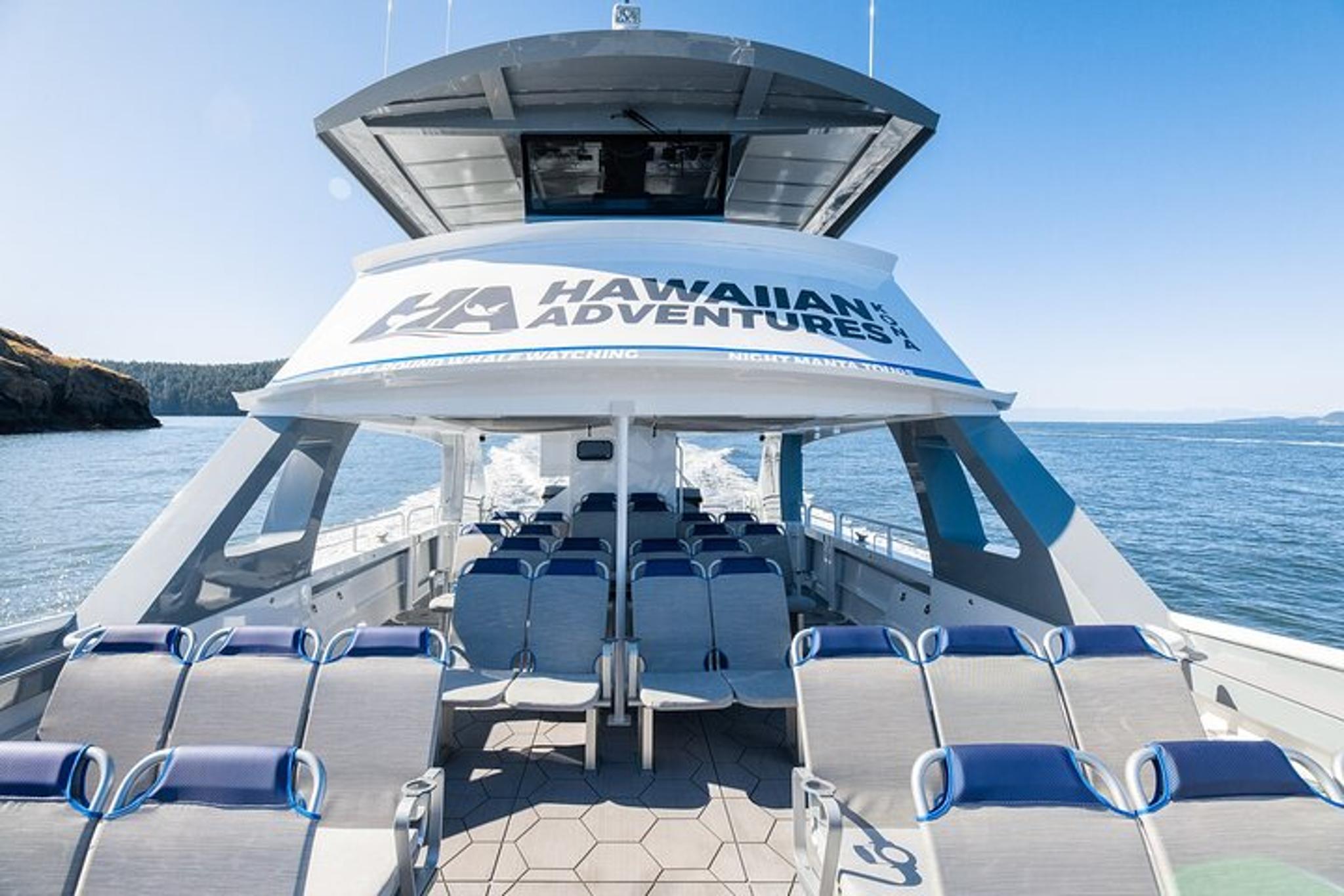 Kona Whale and Dolphin Watching Tour - Image 5