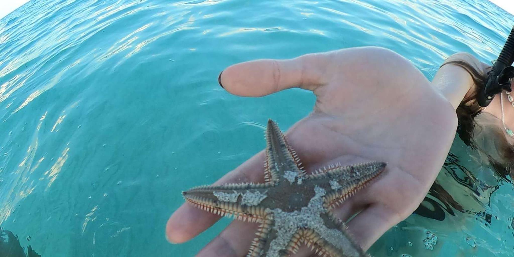 Key West Private Charter Sandbar Adventure - Image 6