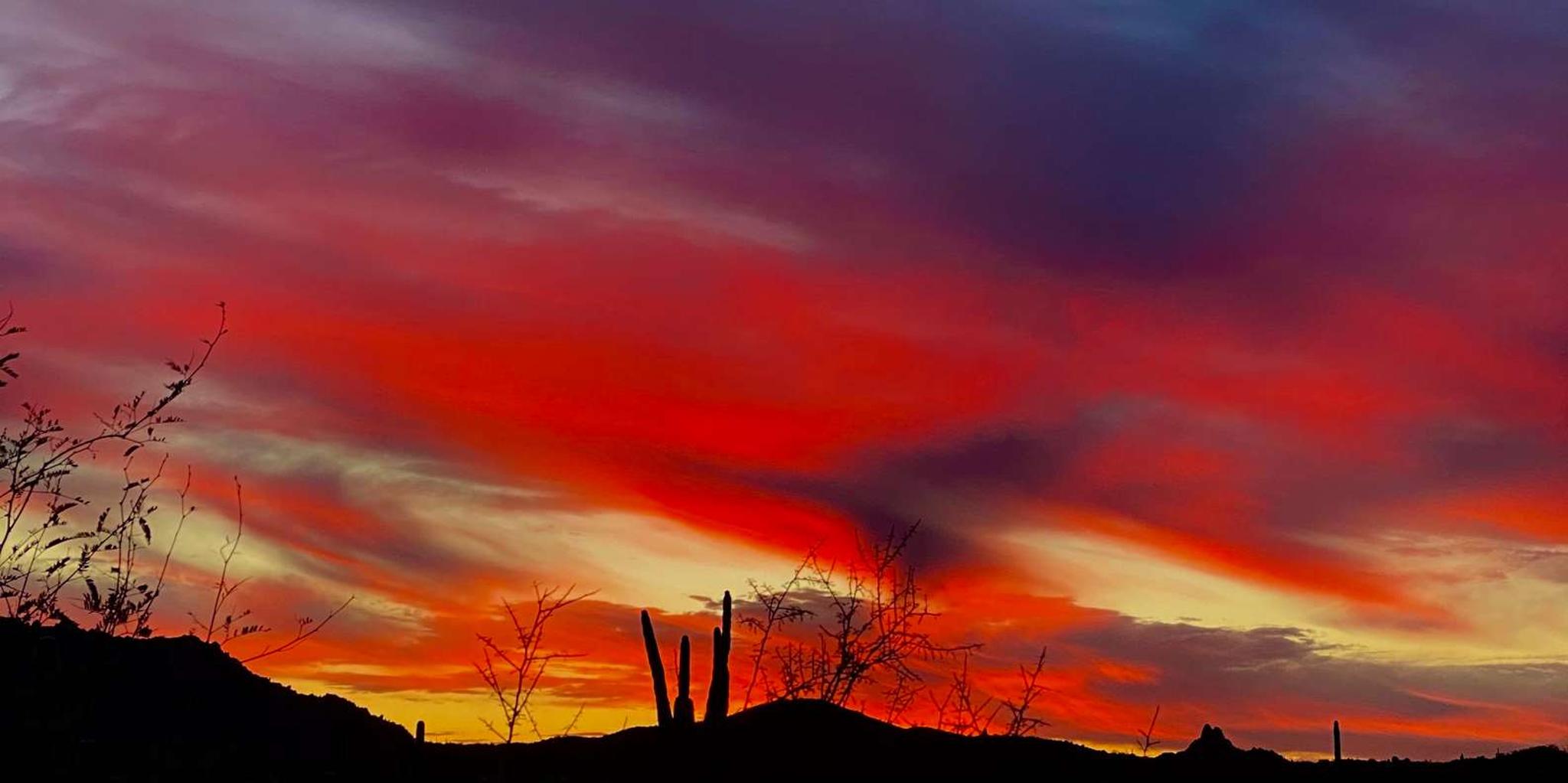 Phoenix Sonoran Desert Guided Sunset Hike