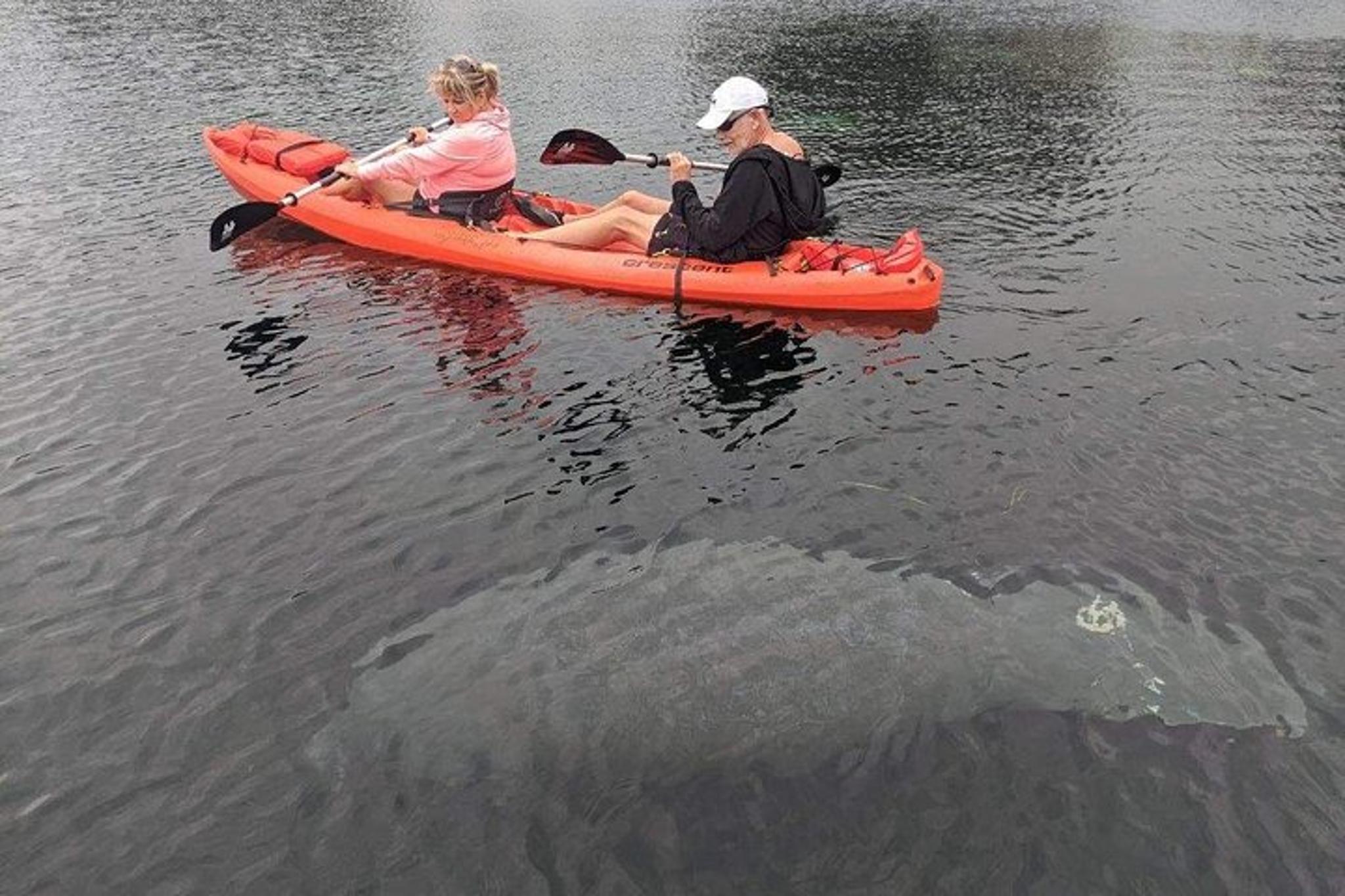 Crystal River Tandem Kayak Rental - Image 2