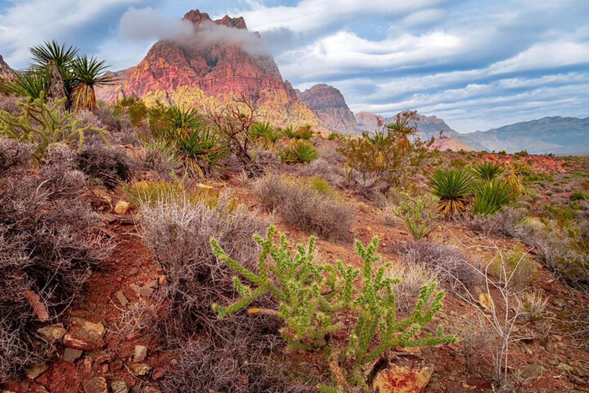 Las Vegas Red Rock Canyon Tour - Image 5