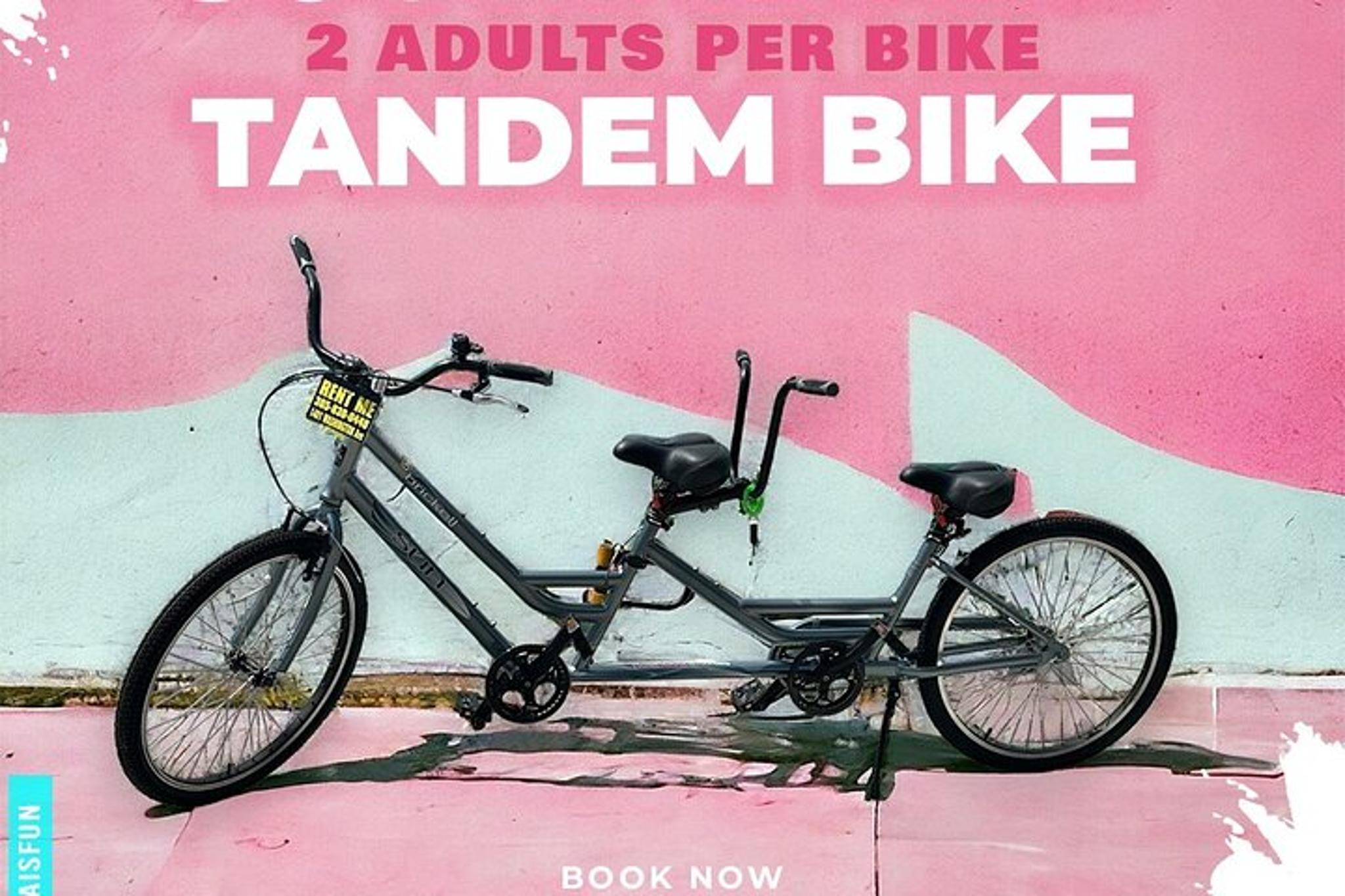 Miami Beach Electric Tandem Bike Rental - Image 4